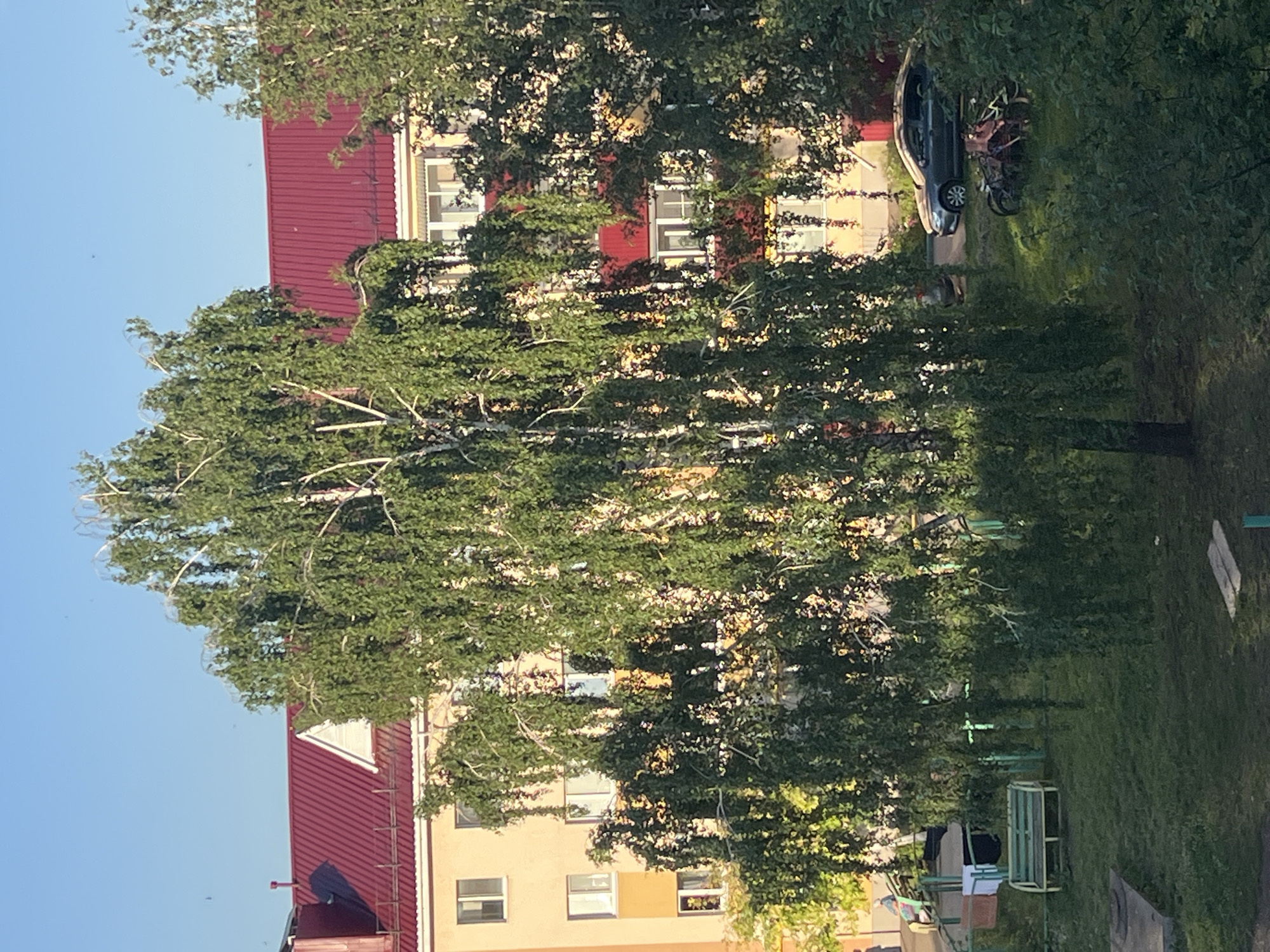 The image depicts a residential courtyard in Almetyevsk, Russia. A prominent birch tree with weeping branches dominates the foreground. Behind the tree, a multi-story apartment building with a red roof and cream-colored facade is visible. The building has multiple windows, some reflecting the sky and trees. In the courtyard, there is a green park bench and a children's playground structure with red and white elements. Further back, a dark gray sedan is parked, and near it, a pile of bicycles or motorcycles is resting on the grass. The ground is covered in grass, with some concrete slabs visible. The sky is clear and blue.