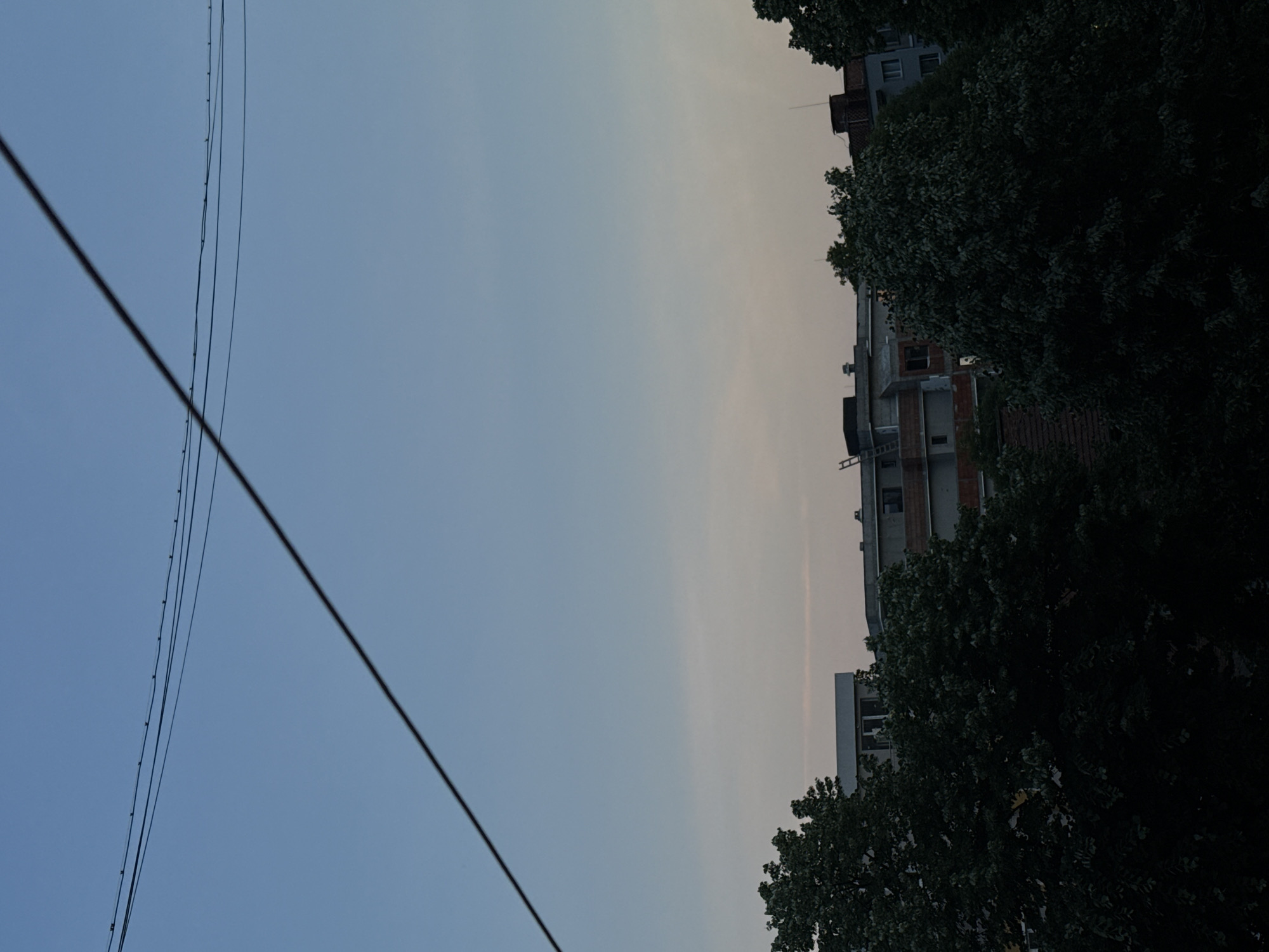 The image displays an exterior urban scene in the city of Kardzhali, Bulgaria, captured during either dawn or dusk. The sky occupies the upper two-thirds of the frame, exhibiting a gradient from a pale blue at the top to a lighter, faintly pinkish-beige hue near the horizon. Multiple dark, thin utility lines are strung horizontally across the upper portion of the sky, with one thicker, darker cable extending diagonally from the upper left towards the lower right. Below the sky, the upper sections of several multi-story buildings are visible. These structures feature flat roofs, visible window openings, and concrete facades. One building on the left appears to be under construction or renovation, with a ladder prominently leaning against its side. The lower third of the image is filled with a dense mass of dark green deciduous trees, which are heavily shadowed due to the low light conditions, partially obscuring the lower parts of the buildings. No individuals or active interactions are present in the scene.