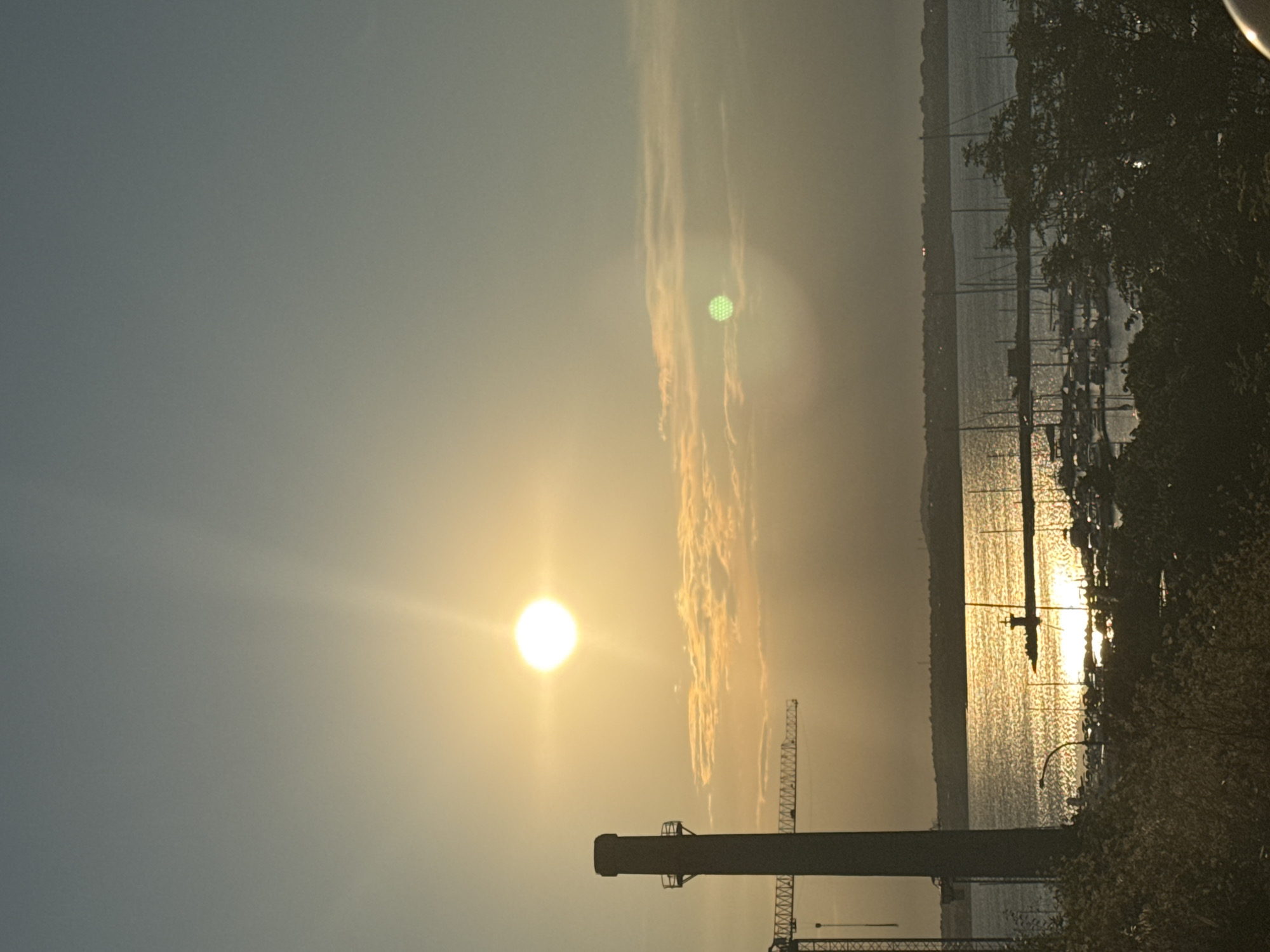 The image captures a sunset over a harbor in Sozopol, Bulgaria. The sun, a bright, white orb, is positioned in the upper left quadrant of the sky, casting a warm glow and creating a sunburst effect. It is partially obscured by hazy clouds, which are tinged with orange and yellow hues.
In the foreground, a tall, industrial chimney stands prominently on the left side, silhouetted against the sky. To its left, a construction crane is partially visible. Below these structures, a body of water, likely the sea, reflects the shimmering light of the setting sun.
The water is filled with numerous sailboats and yachts, docked in a marina. Their masts create a dense network of vertical lines against the horizon. The shoreline in the distance is dark and indistinct, with hints of buildings visible.
In the lower part of the image, dark green foliage and trees create a natural foreground, obscuring some of the view of the harbor. A single streetlight with a curved pole is visible in the mid-ground, near the water's edge.
The overall atmosphere is serene and tranquil, with the warm light of the sunset bathing the scene. The presence of the industrial chimney and crane suggests a blend of industrial activity and the natural beauty of the coastal setting. There are no discernible people in the image.