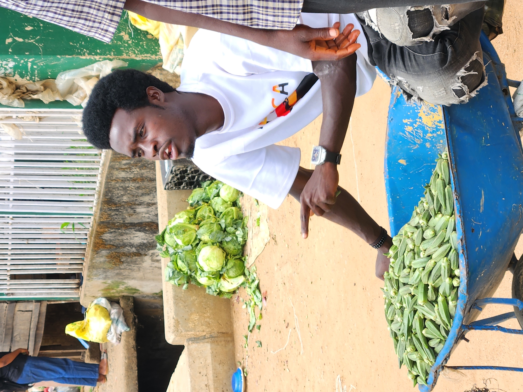 This image, captured in Kabong, Nigeria, presents a vibrant outdoor market or roadside stall scene, centered around a young man selling vegetables.
The primary subject is a young man with dark, curly hair and a short beard, wearing a white t-shirt with a colorful graphic that includes the letters "H" and "A," a black watch on his left wrist, and ripped black jeans. He is leaning forward, looking towards the viewer with a slightly open mouth, and his left hand is extended, pointing downwards. His right arm is bent at the elbow. Partially visible in the upper left corner are the arm and shoulder of another person wearing a blue and white checkered shirt.
The scene is dominated by fresh produce. A large blue metal wheelbarrow, appearing worn with chipped paint, is filled to the brim with green okra on the right side of the frame. To the left of the wheelbarrow, on the light brown, earthy ground, is a substantial pile of fresh green cabbage heads, with some loose leaves scattered around.
The setting appears to be outdoors, likely during the daytime given the bright illumination. The ground is a light brown, possibly dirt or sand. In the background, there are concrete structures, including what looks like a drainage channel or culvert. A bright green painted surface is visible behind the man on the left, along with a white metal railing. Further back and to the lower left, another person in blue pants and a dark top stands near a wooden structure. The overall impression is that of a bustling local market environment.