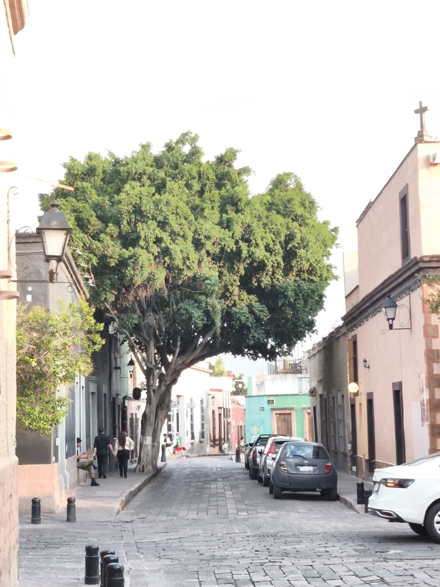 The image presents a view of a cobblestone street in the city of Querétaro, Mexico. A large, leafy tree dominates the center of the street, casting a shadow on the road. Along the right side of the street, several cars are parked bumper to bumper.
On the left, a few people walk along the sidewalk, while one individual is seated on the curb. The buildings on either side of the street are painted in various pastel colors and feature architectural elements such as wrought-iron balconies and decorative cornices. A cross atop a building is visible on the right side of the street. The image captures the charm of the historic city with its narrow streets and colonial architecture.