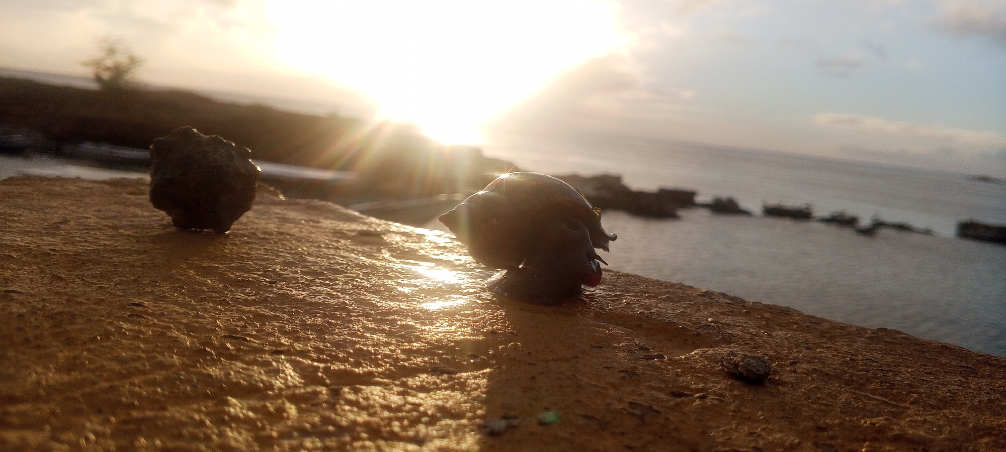 The image captures a close-up view of two dark objects on a rough, textured, yellowish surface, likely rock or concrete, against a backdrop of the sea and sky at sunset. In the foreground, a dark, irregularly shaped rock sits to the left, appearing wet with some glistening highlights. To the right, a dark, possibly shell-like object with a conical shape, resembling a snail or conch, is positioned. This object also shows reflections of light. The surface it rests on is uneven and appears to have a gritty texture.
The background features a body of water, likely the sea, stretching towards the horizon. Several indistinct, dark shapes, possibly submerged structures or boats, are visible in the water in the mid-ground. The sky is bright, with the sun positioned high and slightly to the left of center, casting strong rays of light and lens flares across the scene. The sun's glow illuminates the clouds and the sea. The overall lighting suggests a warm, late afternoon or early evening setting.
The location is identified as Juan Griego, Venezuela, a coastal town known for its historical fortresses and natural beauty. The scene could be from a viewpoint overlooking the bay or coastline, possibly near the shore or a rocky outcrop. The presence of the sea and the sunset suggests a natural or semi-natural environment. There are no people visible in the image.