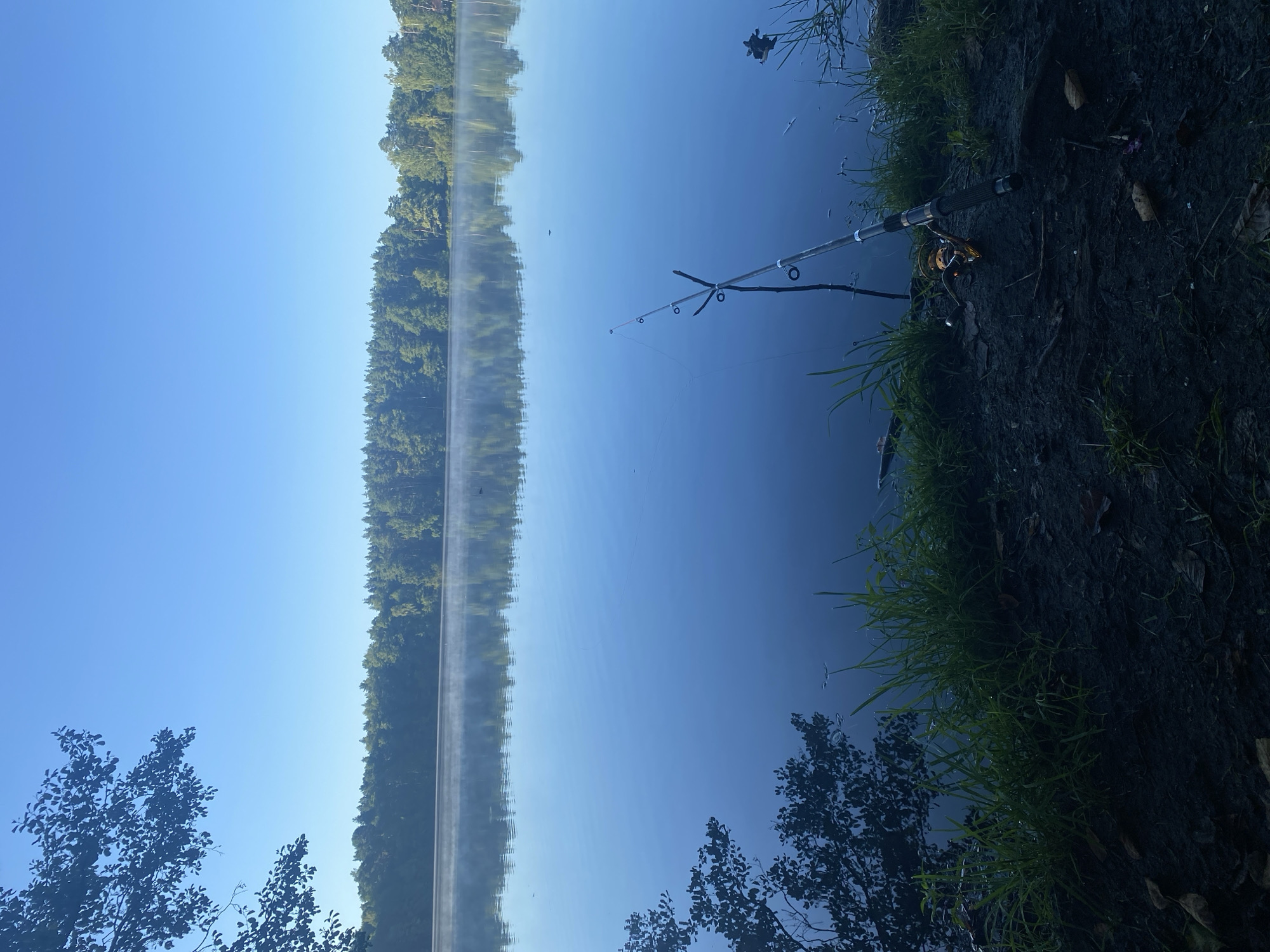The image depicts a serene lake scene at what appears to be dawn or early morning in Beloozyorskiy, Russia. The water is calm and reflects the clear blue sky and the dense line of trees on the opposite shore. A faint mist hovers over the water's surface. In the foreground, on the muddy bank, a fishing rod is set up, with its line extending into the water. Green grass grows along the edge of the bank, and fallen leaves are scattered on the dark, damp soil. The overall atmosphere is peaceful and natural, suggesting a solitary fishing activity.