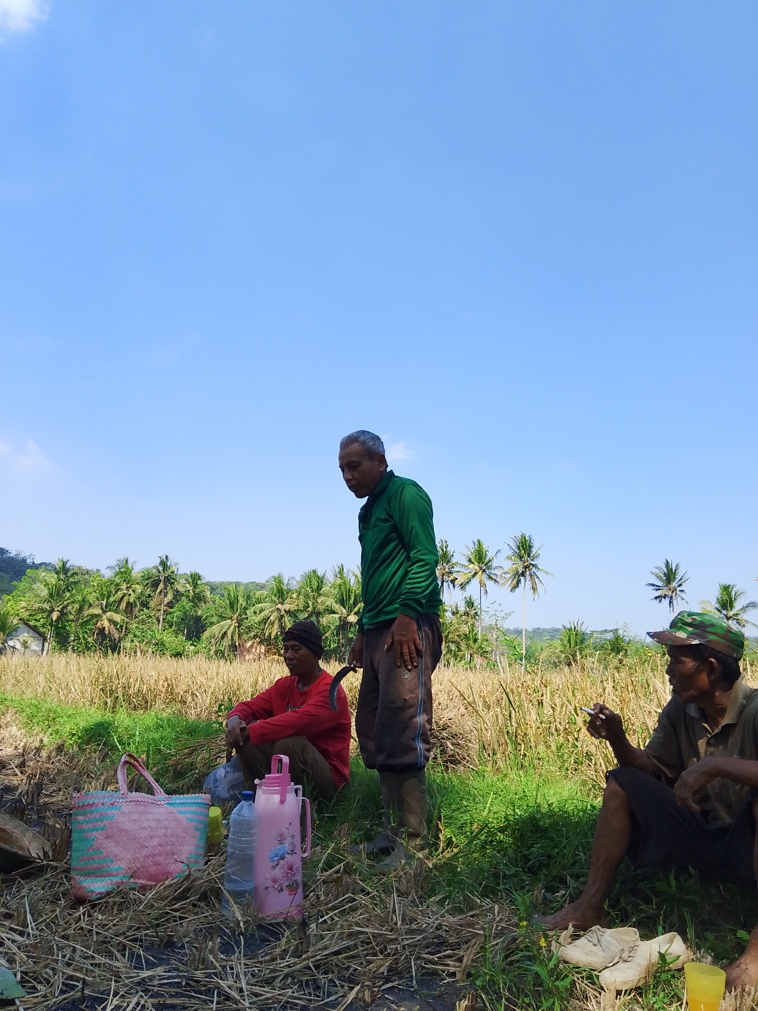 In Adimulya, Indonesia, three men are taking a break in a rice field under a clear blue sky. One man, wearing a green long-sleeved shirt and dark pants, stands and looks down. Another man, dressed in a red long-sleeved shirt and dark pants, is crouching and appears to be holding a sickle. The third man, wearing a camouflage cap and a green shirt, is seated and smoking. In front of them, on the ground, are a pink and blue woven basket, two water bottles, a pink thermos with a floral design, and a pair of light-colored shoes. The background shows a dry rice field with palm trees and hills. The overall scene depicts a moment of rest amidst agricultural work.