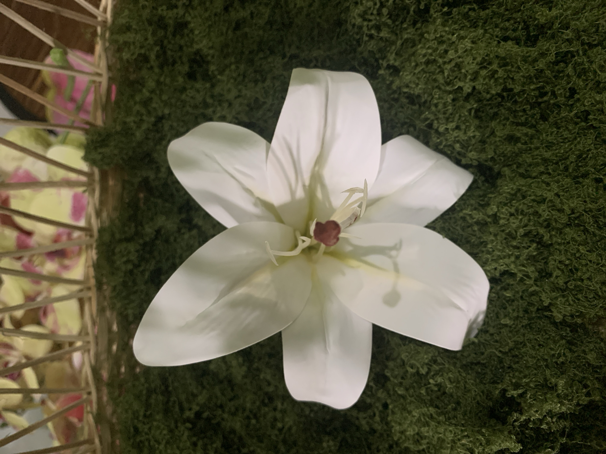 An overhead, close-up shot shows a single, white, artificial lily resting on a bed of green moss. The flower is positioned slightly off-center to the left, its petals fanned open. In the background, a wicker basket is visible, filled with what appear to be pink and yellow floral elements or decorations, supported by thin wooden sticks. The scene is indoors and lacks any context that would place it in Kuala Pembuang, Indonesia.
