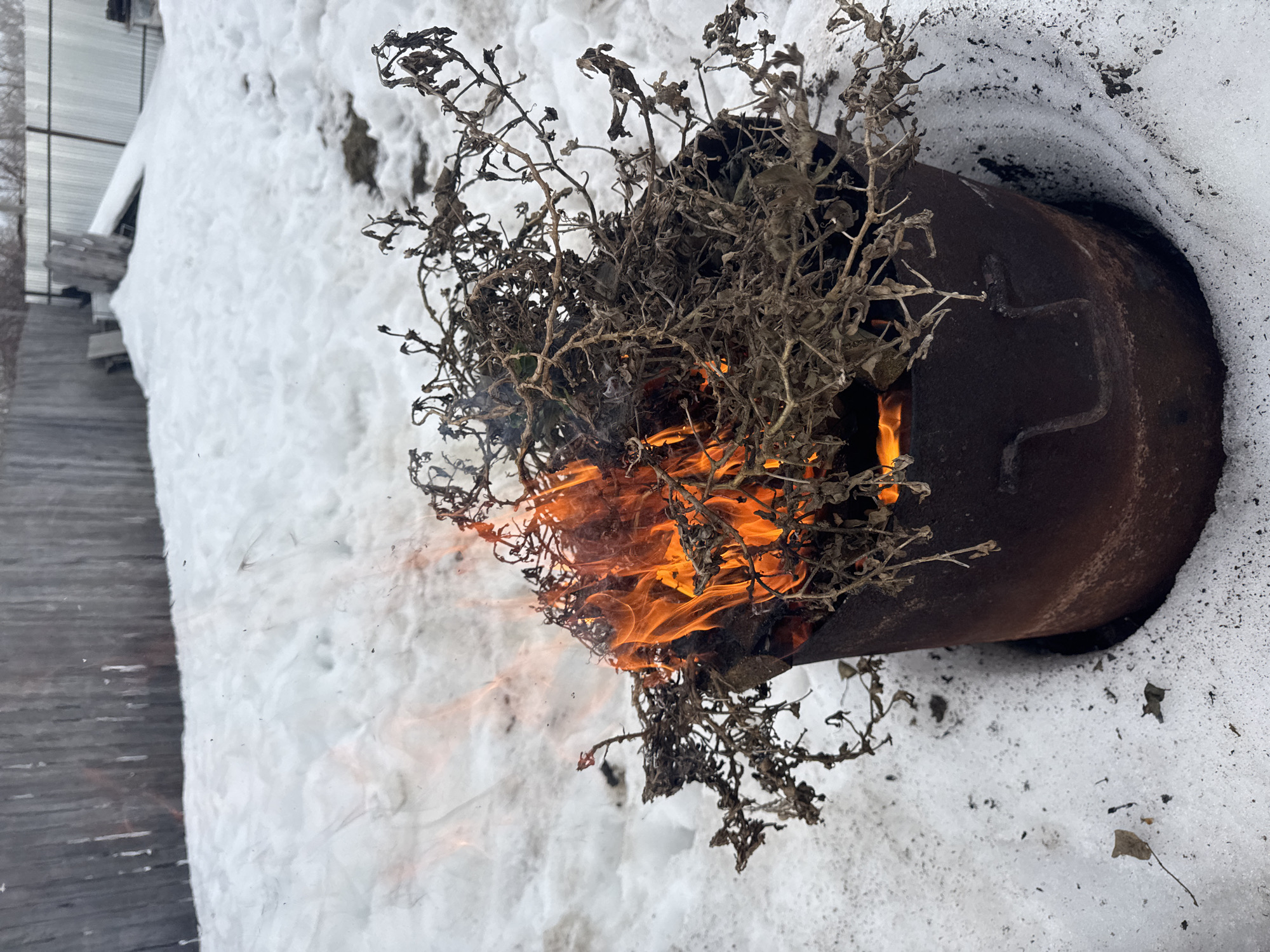 The image depicts a metal container on its side, resting on a snow-covered surface. Dead plant matter protrudes from the container, which is also filled with fire. The surrounding area is covered in snow, suggesting a cold climate. The location is Chaikovsky, Russia.
