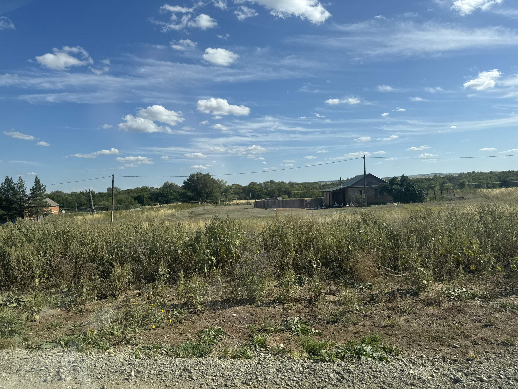 The image captures a rural landscape under a partly cloudy blue sky. In the foreground, a dirt path transitions into dry, overgrown grass and vegetation, with a few small yellow wildflowers visible. In the mid-ground, a rustic, dark-roofed building with brick accents stands amidst the tall grass. Further back, a line of trees forms a backdrop against the rolling hills of the landscape. The scene suggests a tranquil, undeveloped area, consistent with a rural setting such as Васильевка, Russia.