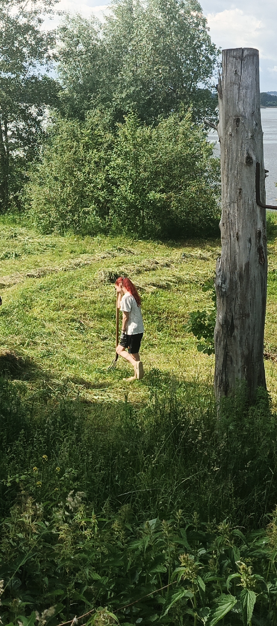 In Chaikovsky, Russia, a woman with long red hair, wearing a light-colored t-shirt and dark shorts, stands in a grassy field under a cloudy sky. She is holding a pitchfork, with the tines pointing downwards. The field appears to have been recently mowed, with swaths of cut grass visible. A large, weathered tree trunk stands to the right of the woman. In the background, dense green foliage forms a natural border, and a body of water can be seen beyond the trees. The foreground is filled with tall green plants and weeds.
