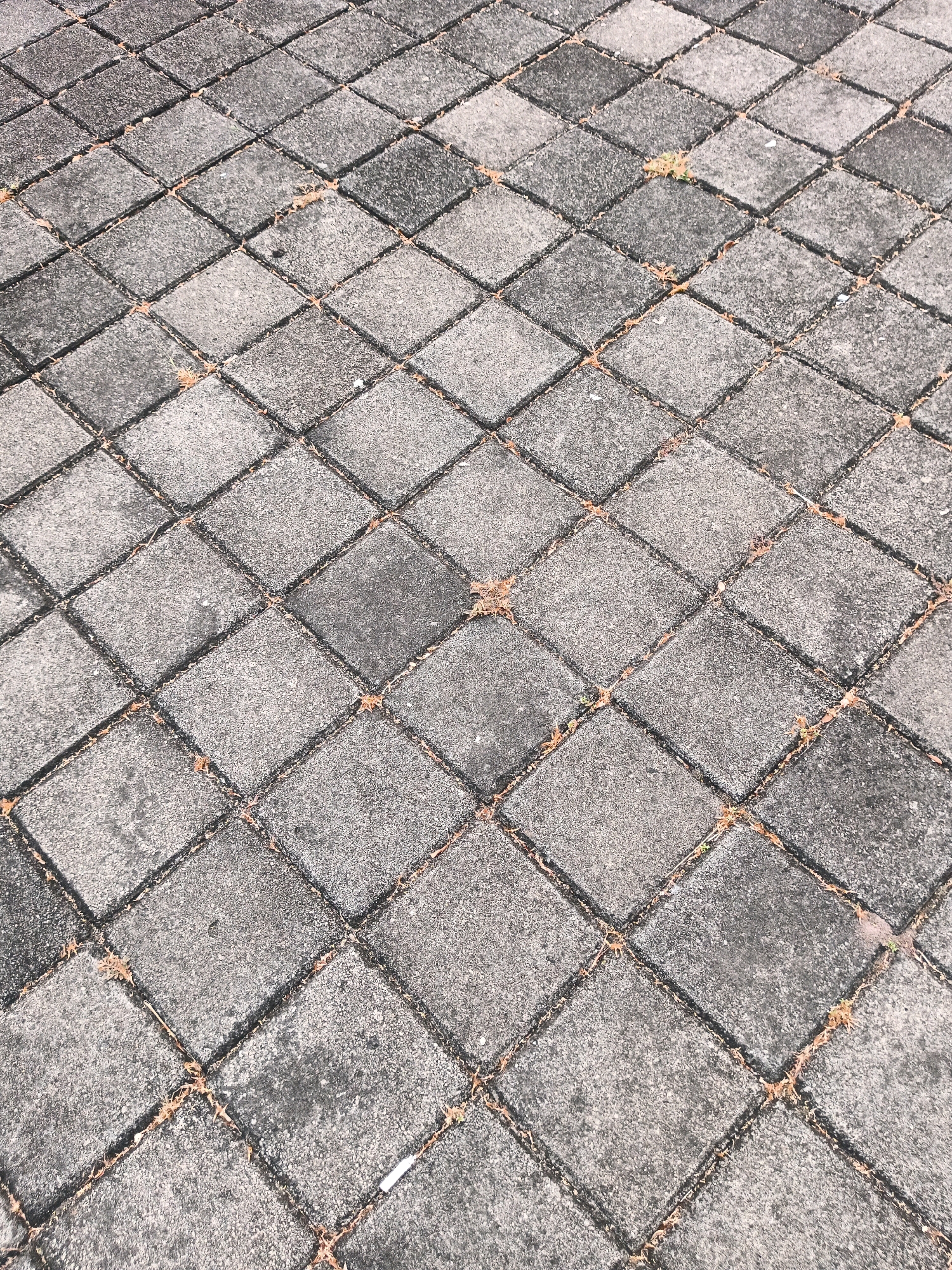 The image shows a close-up, overhead view of a paved walkway in Bandung City, Indonesia, constructed with interlocking square concrete pavers arranged in a diamond pattern. The pavers are gray and appear weathered, with some dirt and debris, including small bits of dry grass or leaves, in the gaps between them. The texture of the concrete is rough and granular. The lighting suggests it is daytime, with subtle shadows cast by the pavers. No people, animals, or other discernible objects are present in the frame besides the paving stones themselves.