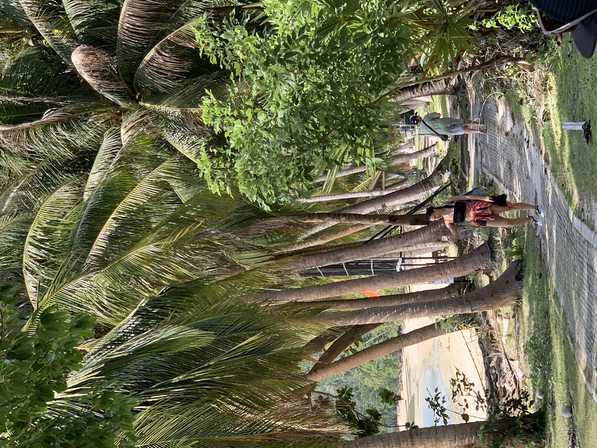 A woman in a black bikini top, red and black checkered shirt tied around her waist, and black shorts walks down a paved pathway lined with palm trees. She has a gray backpack slung over her left shoulder and is holding a black hat in her right hand. To the right and further down the path, a person in a green t-shirt and gray shorts walks away from the camera, carrying a dark bag over their shoulder. The path leads towards a beach with calm water and a sandy shore visible between the palm trees. Lush green foliage and the trunks of numerous palm trees dominate the scene. The lighting suggests it is a sunny day.