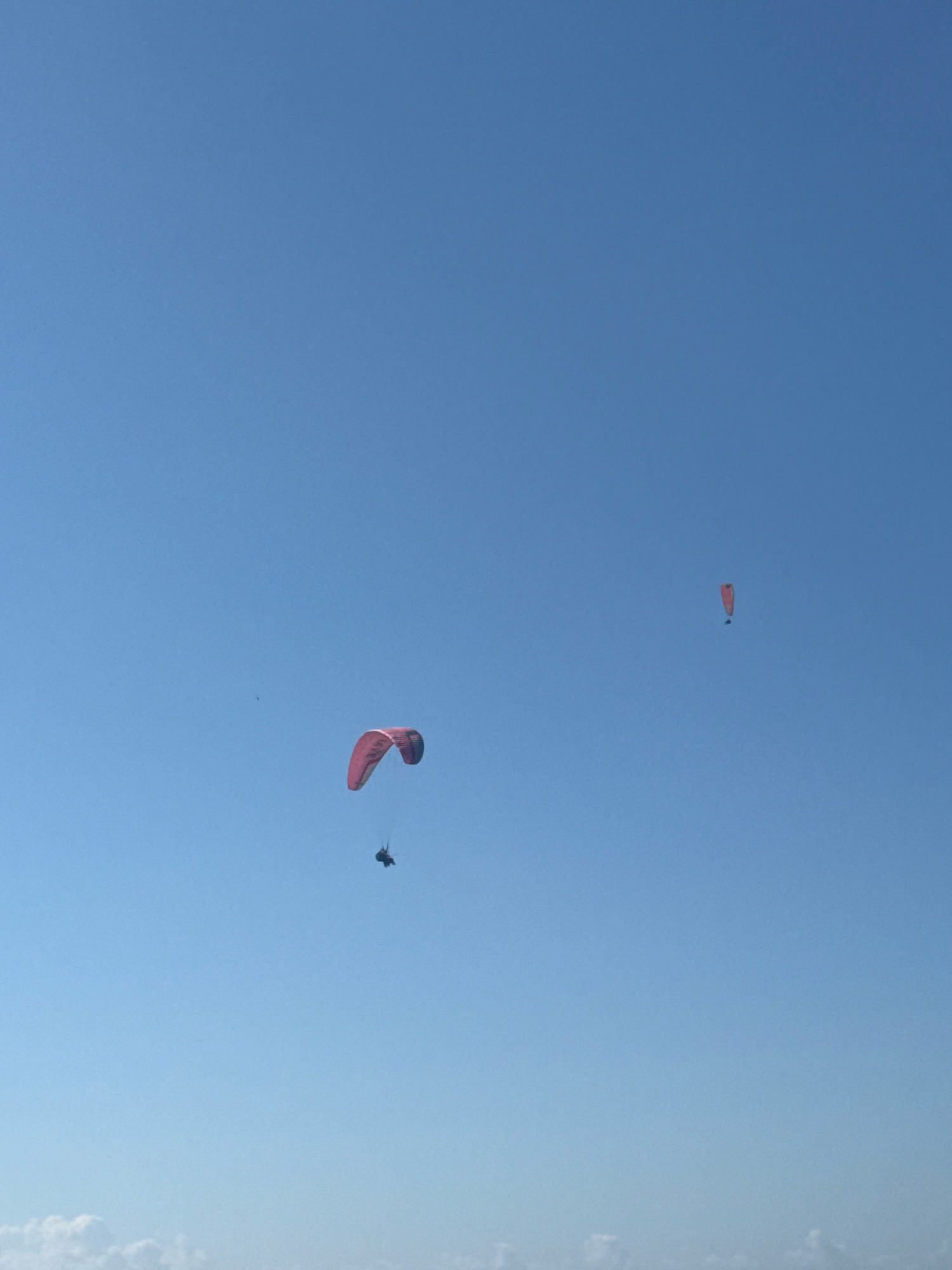 Two paragliders are seen soaring in a clear blue sky over the city of Boreti, Montenegro. The paraglider in the foreground is larger and displays a pink and red canopy. Below it, a person is suspended, appearing to be actively controlling the paraglider. Further in the distance, a second, smaller paraglider with a reddish-orange canopy is visible against the vast expanse of the sky, with a person also suspended beneath it. The horizon is not visible in this frame, suggesting the image was captured from a low vantage point or from within the paragliders themselves, looking upwards. The overall scene depicts recreational activity in an open, aerial environment.