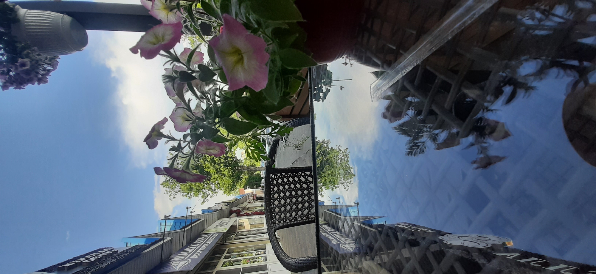 This image shows a reflection of a building and trees on a glassy surface, possibly a table. In the foreground, there are pink and white petunias in a hanging planter. The sky is blue with some white clouds. The building in the reflection appears to have multiple stories with large windows. There is also text visible on the building which appears to be in Russian. The scene is likely set outdoors during the day, given the bright sky and natural light. The reflection creates a surreal and visually interesting effect, with the flowers and building appearing upside down.