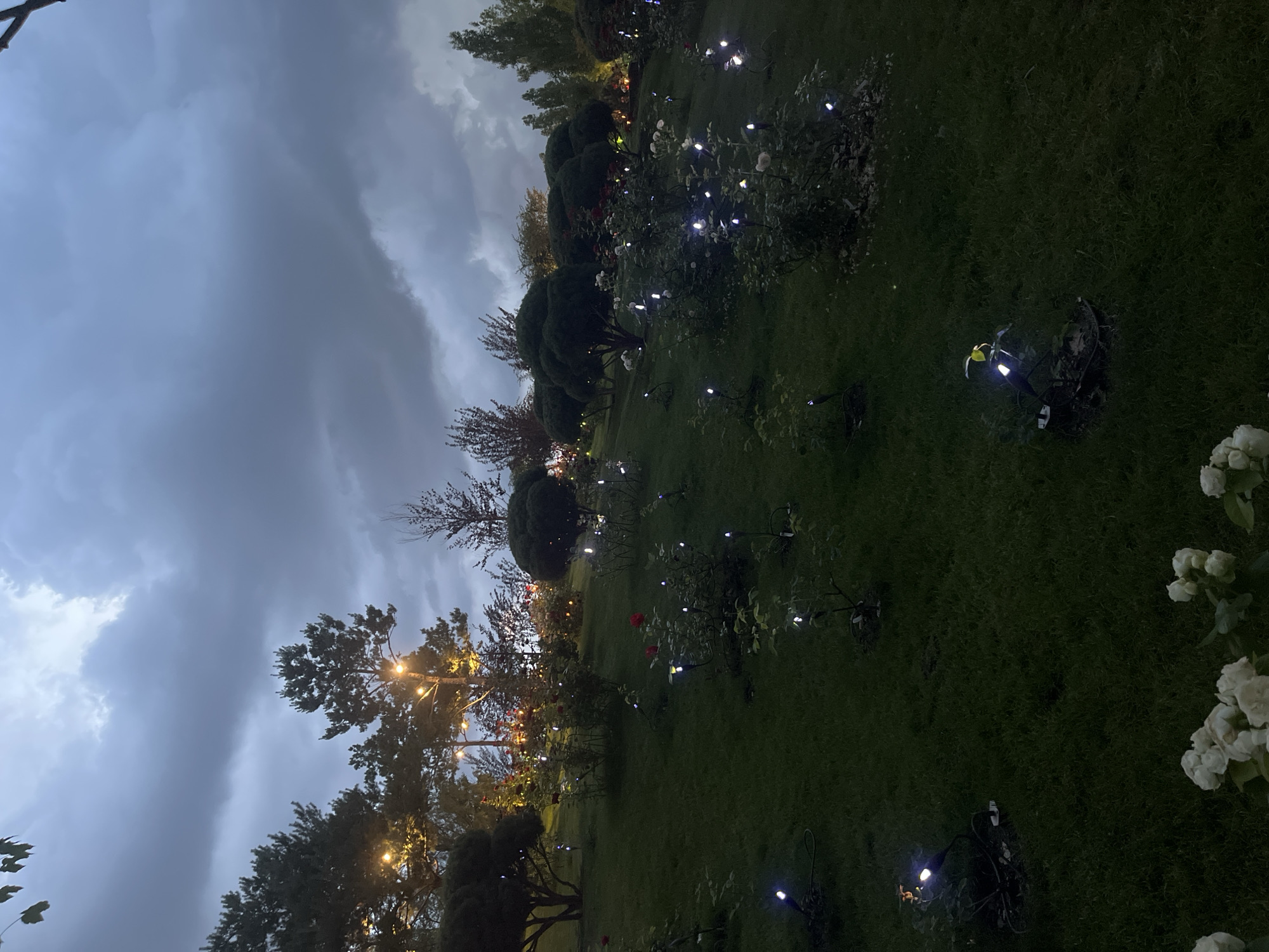 The image depicts a park or garden area at dusk, with a cloudy, twilight sky overhead. The foreground is a sloping grassy lawn dotted with small, white garden lights and some rose bushes. The lights are low to the ground and emit a bright white glow. In the mid-ground, there are more rose bushes, some with red blooms, and several small trees or large shrubs. Further back, there are larger trees, some of which are illuminated by string lights, creating a warm, yellow glow. The overall impression is a well-maintained outdoor space that is beginning to be lit for the evening. The scene does not contain any people or identifiable landmarks that would indicate a specific location within Krasnodar, Russia.