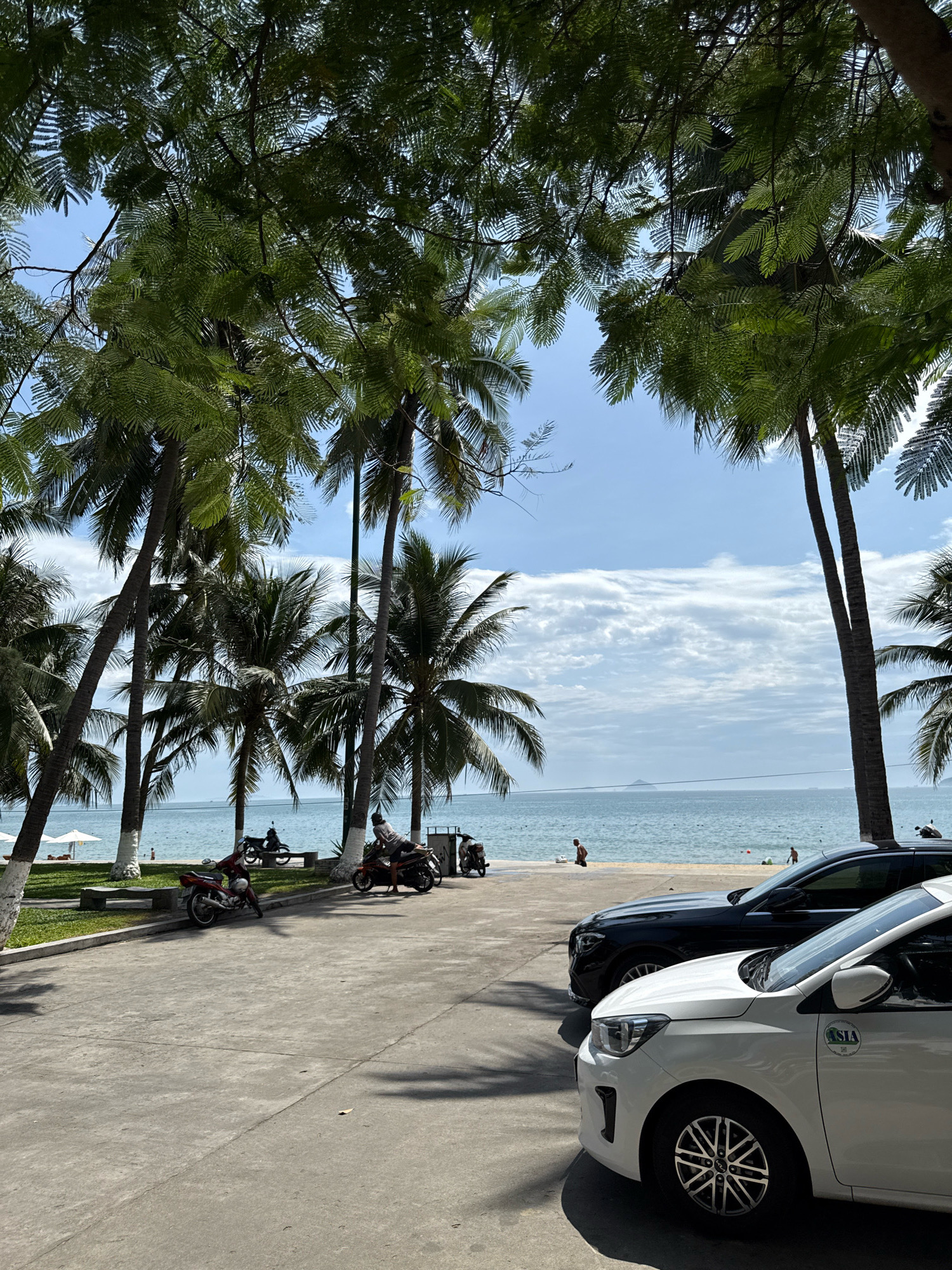 In Nha Trang, Vietnam, the scene is a sun-drenched beachside promenade. Towering palm trees with lush green fronds dominate the foreground, framing a view of the ocean and a clear blue sky dotted with white clouds. The beach itself is visible, with a few people scattered along the shore. In the paved area of the promenade, several motorcycles are parked, and two cars are present. A white car is in the foreground, and a black car is behind it. The overall atmosphere suggests a relaxed, tropical setting.