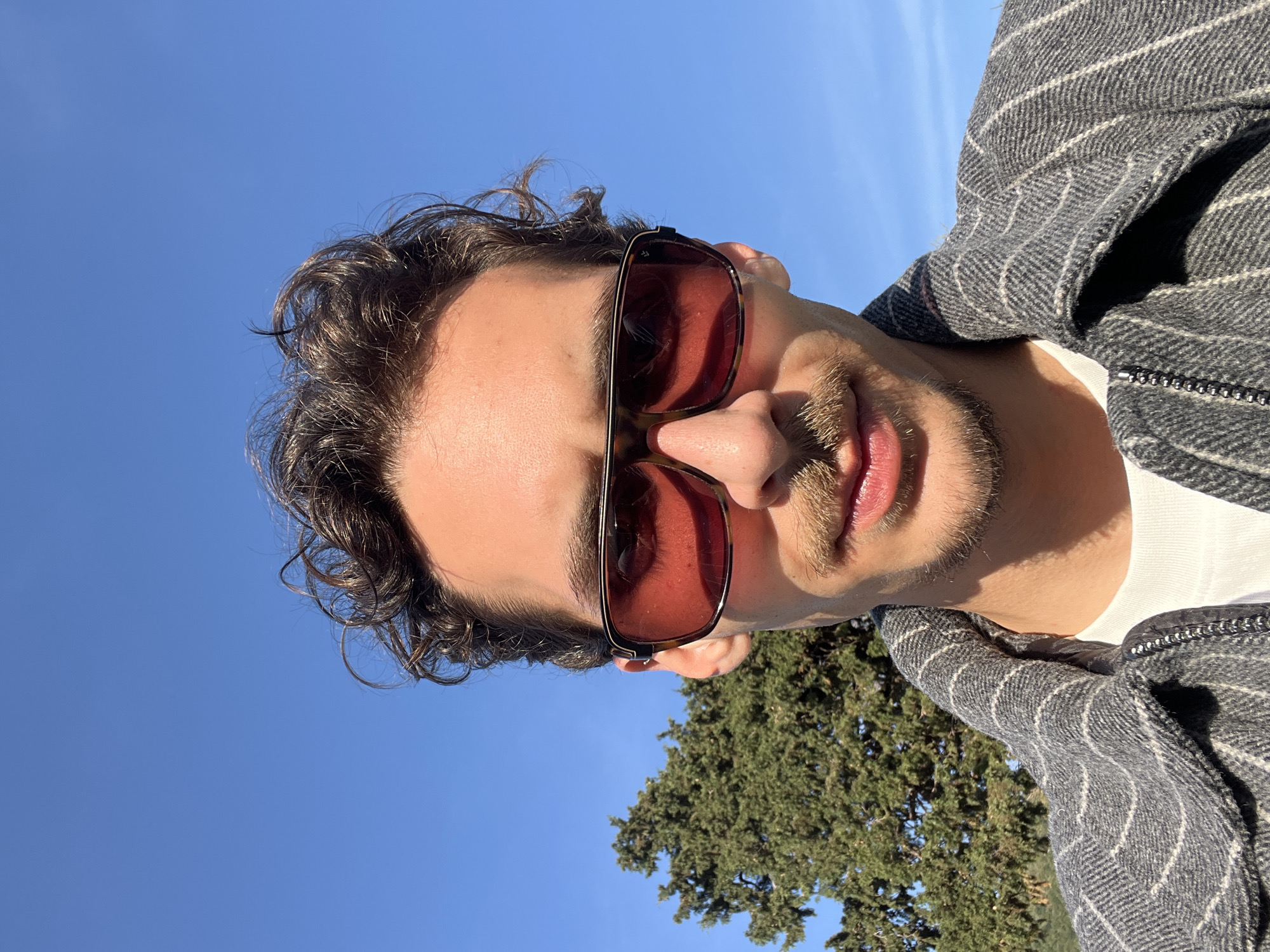 The photograph depicts a close-up, low-angle view of a man wearing sunglasses with reddish lenses. He has dark, curly hair, a mustache, and a short beard. He's wearing a grey striped jacket over a white undershirt. The background features a clear, bright blue sky and a tree with green foliage. The location of the photo is near a tree in Budva, Montenegro on a sunny day.