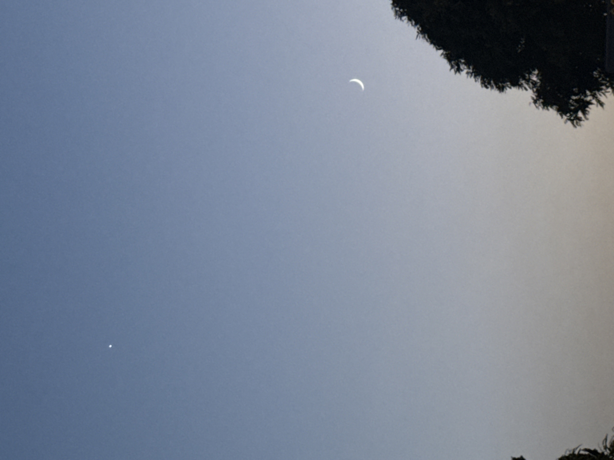 The image depicts a clear sky at dusk, with a faint crescent moon visible on the right and a bright star or planet on the left. Silhouetted against the fading light are the tops of trees on the right and some foliage on the left. The sky transitions from a pale blue at the top to a warmer, lighter hue near the horizon. The scene is tranquil and evokes a sense of early evening. The location is Mijas, Spain, a white-washed village nestled in the hills.