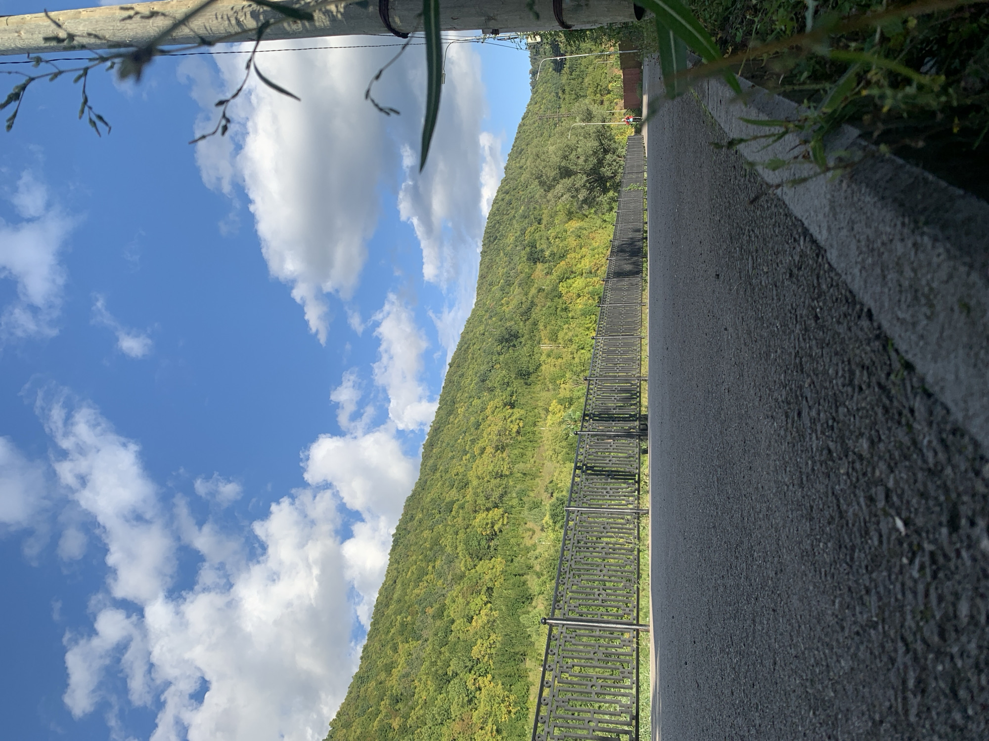 The image depicts a paved path or road running parallel to a lush, green, tree-covered hillside. A black metal railing separates the path from the hillside. The sky is blue with scattered white clouds. A wooden pole with wires is visible on the right side of the frame, with some dry grass and foliage in the foreground. In the distance, on the path, a person in a red top is cycling. The scene appears to be in a park or recreational area, possibly on the outskirts of the city of Asha, Russia, given the natural landscape and the presence of a paved path suitable for cycling or walking.
