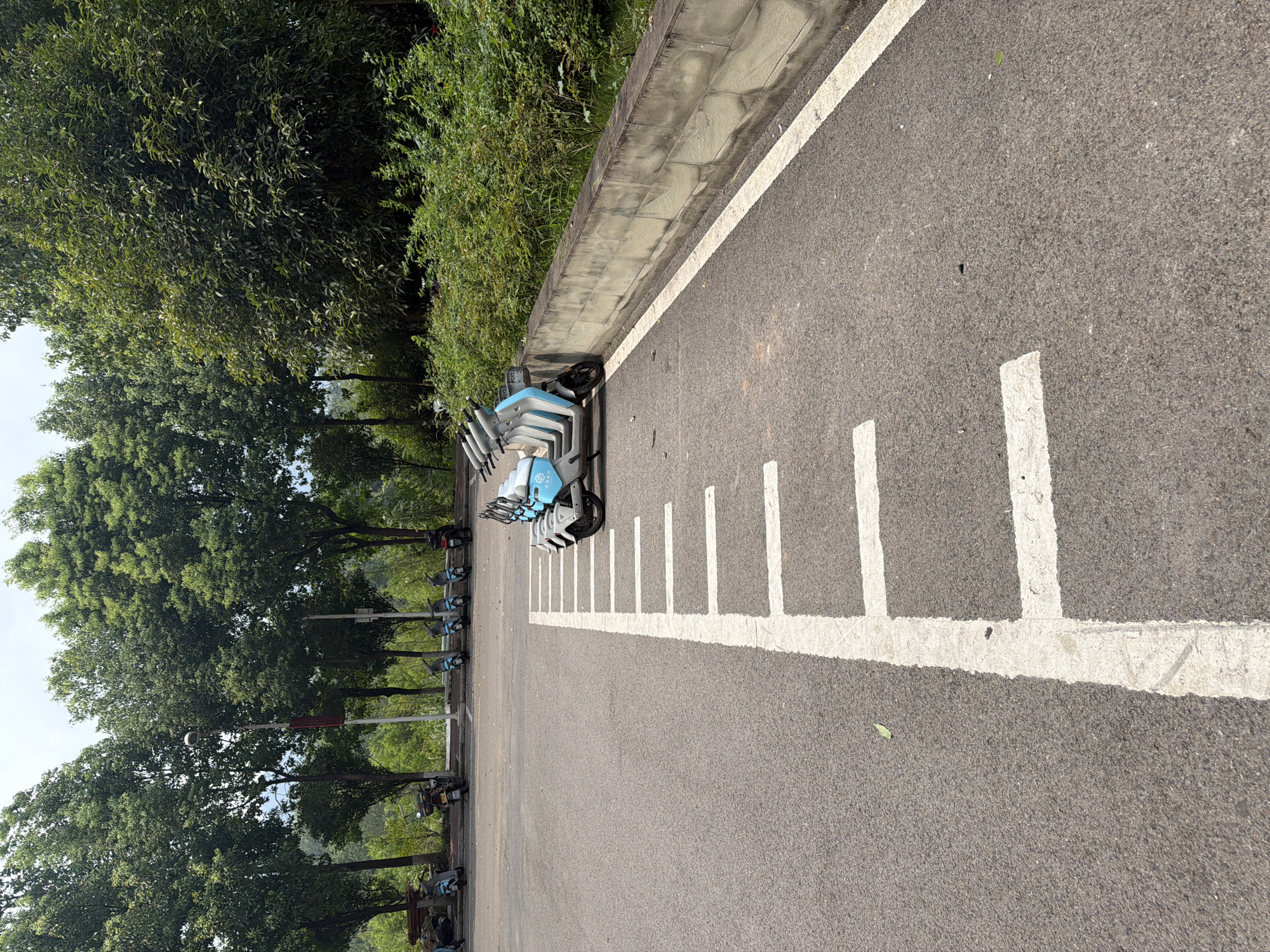 A parking area is depicted in Jiangjin District, Chongqing, China, featuring a row of parked electric scooters. The scooters, predominantly light blue and white, are arranged in a designated parking zone marked with white lines on the asphalt. Behind the scooters, a low concrete wall separates the parking area from a dense embankment of green vegetation and trees. In the background, a line of mature trees with lush green foliage forms a natural backdrop against a cloudy sky. Several other scooters are visible further back, parked along the edge of the road. The scene is static, with no people or activity evident.