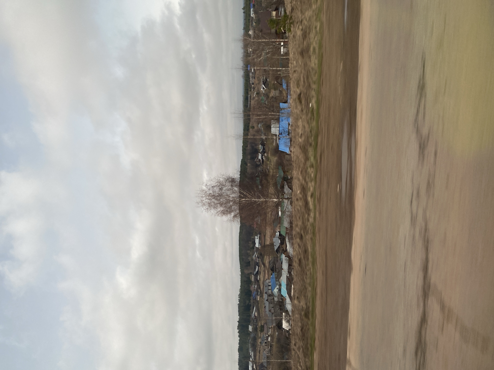 The image depicts a rural scene in Фоки, Russia, under a cloudy sky. A small village stretches along the treeline, consisting of houses with roofs of various colors including blue and gray. A single, bare tree stands prominently in the foreground. The right side of the image is dominated by a wide, unpaved road or path. No people are visible in the scene.
