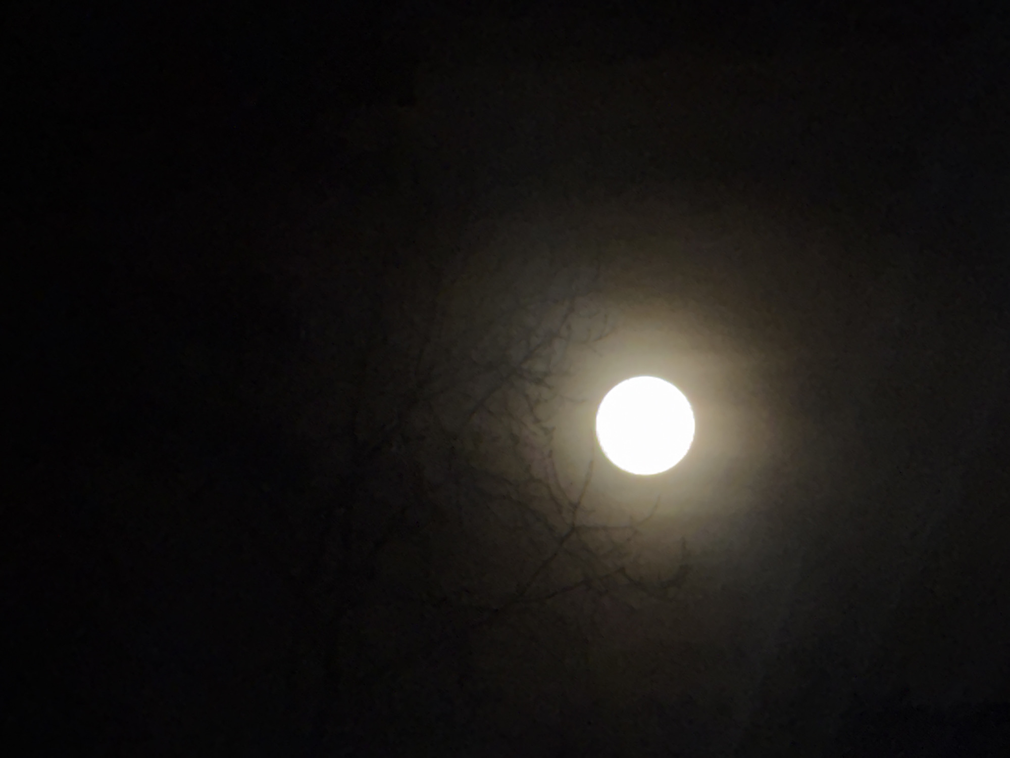 The image shows a bright, full moon in a dark sky. Silhouetted branches are visible in front of the moon. The location, Chaikovsky, Russia, cannot be confirmed based on the image alone.