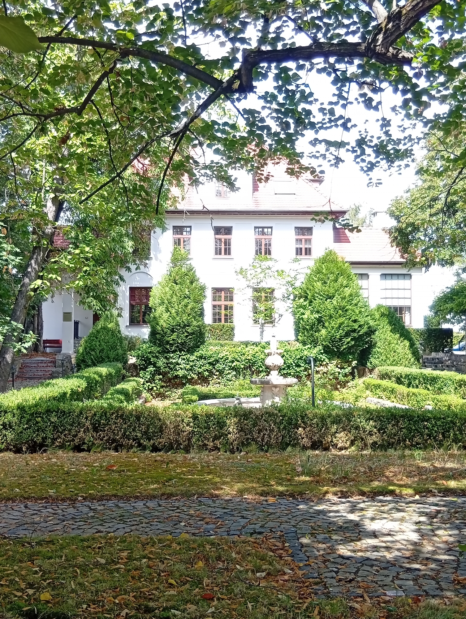 The image depicts a white, two-story building with a red-tiled roof, partially obscured by lush green trees. The building has multiple windows with dark frames and some decorative elements. In front of the building is a manicured garden with neatly trimmed hedges, cone-shaped evergreen trees, and a small fountain. A cobblestone path runs through a grassy area in the foreground, scattered with fallen leaves. The scene appears to be set in an autumnal landscape, with sunlight filtering through the leaves, casting dappled shadows. The building's architectural style suggests it might be an older structure, possibly a historical residence or public building. This is the Municipal Library in Wrocław, Poland, located at ul. Szajnochy 10.