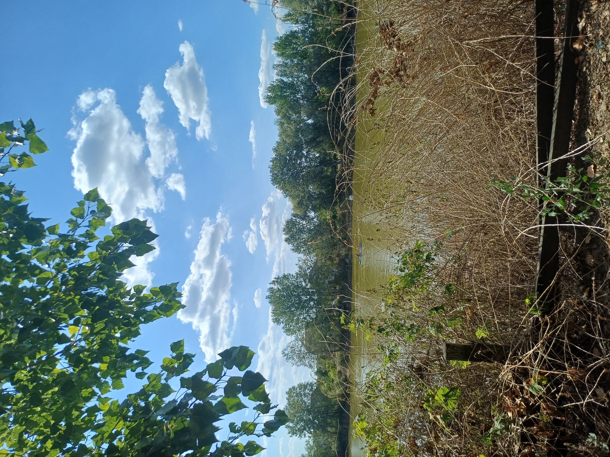 This is a vertical, eye-level, medium shot of a body of water with a tree-lined shore under a bright blue sky with scattered white clouds. In the foreground, dry brush and some green foliage obscure the bottom of the image. A wooden post protrudes from the brush on the left. The water is a muted green color. In the distance, two people are visible in a canoe on the water. The shore is densely populated with various green trees. The scene appears to be a natural landscape, possibly a park or rural area within or near Sulymivka, Ukraine.