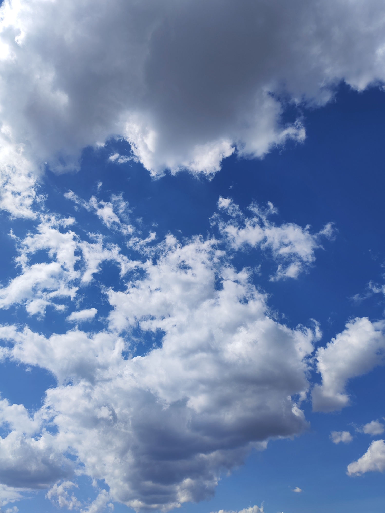 The image shows a clear blue sky with scattered cumulus clouds. The clouds vary in size and density, some appearing bright white while others have gray shading, suggesting different thicknesses. The sky is a deep, vibrant blue, providing a strong contrast to the white clouds. The location is not evident from the image. The request of the location in Yakhroma, Russia cannot be determined. No people or objects are visible. The environment appears to be a typical daytime sky.