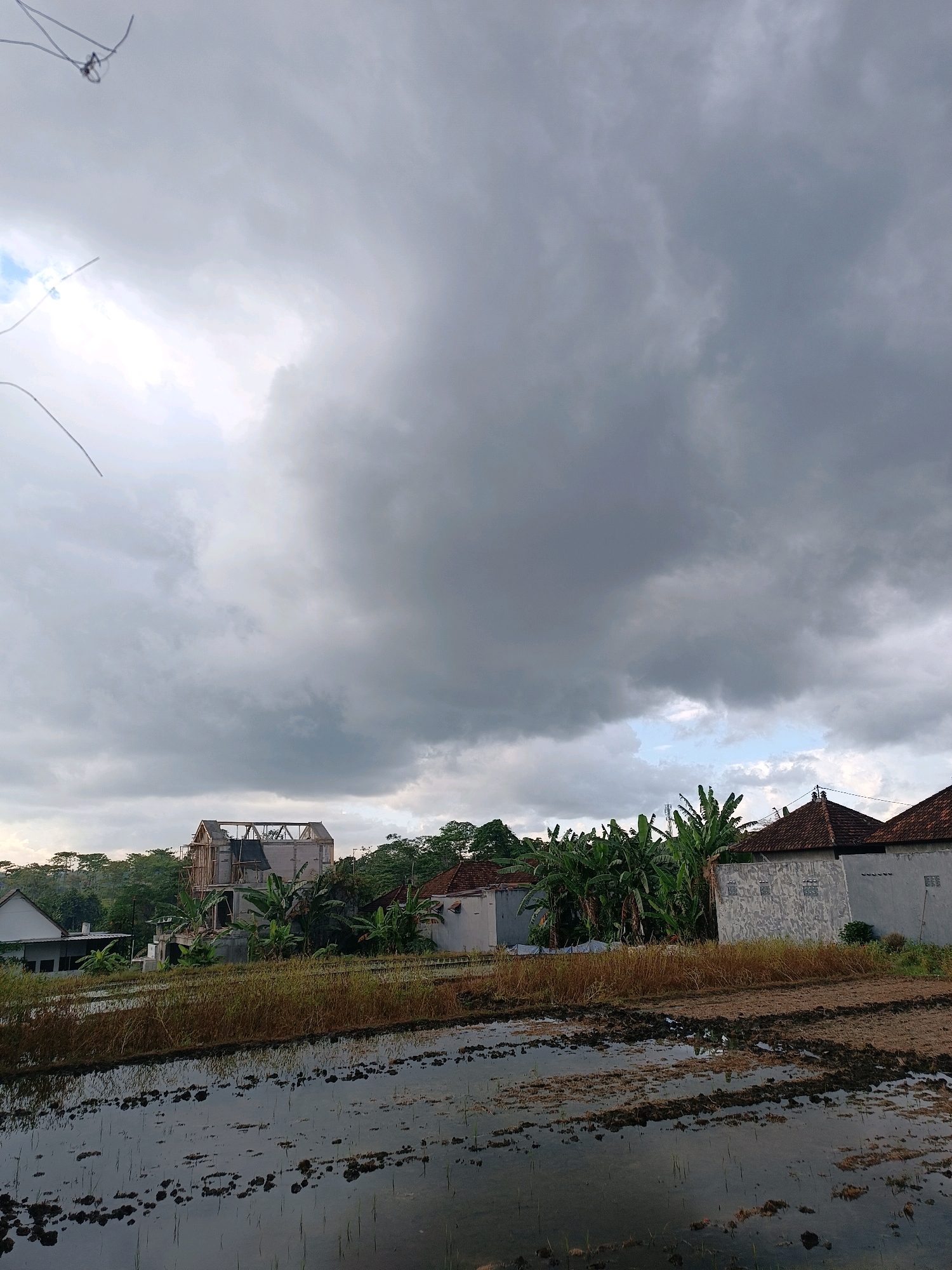 A low-angle, full shot captures a cloudy sky over a rural area in Tabanan, Indonesia. The foreground features a partially flooded rice paddy with dark soil and shallow water reflecting the overcast sky. Dry, golden grass lines the edge of the paddy.
In the midground, several houses are visible. To the left, a house with a white facade is partially obscured by trees. To the right, a light-colored house with a textured wall and a dark-tiled roof stands. Between these structures, a house under construction is prominent, with exposed wooden beams forming a roof structure and scaffolding around its upper levels. Banana trees and other lush green vegetation surround the houses.
The sky is dominated by heavy, dark grey clouds with some lighter patches and hints of blue sky peeking through. Two thin, dark, string-like objects are visible in the upper left quadrant of the image, appearing to be suspended in the air.