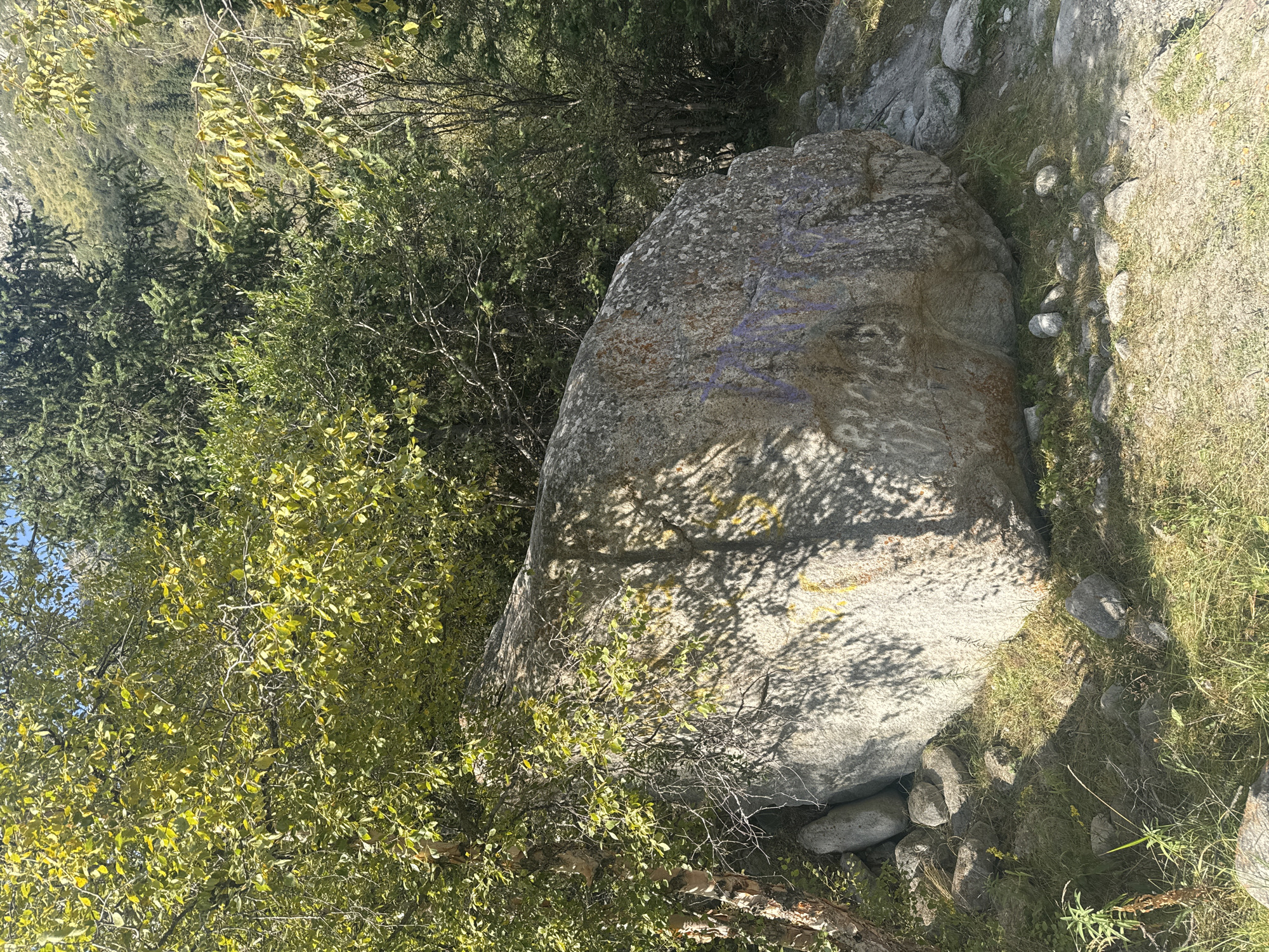 An over-the-shoulder medium shot captures a large, grey boulder casting shadows from trees onto its surface. The boulder has purple markings in the shape of letters and numbers, with some yellow marks as well. Surrounding the boulder is green foliage, with a dirt path visible in the lower right of the frame. The scene is set in a wooded, mountainous area with a clear sky. The location is identified as Ala Archa National Park, Kyrgyzstan.