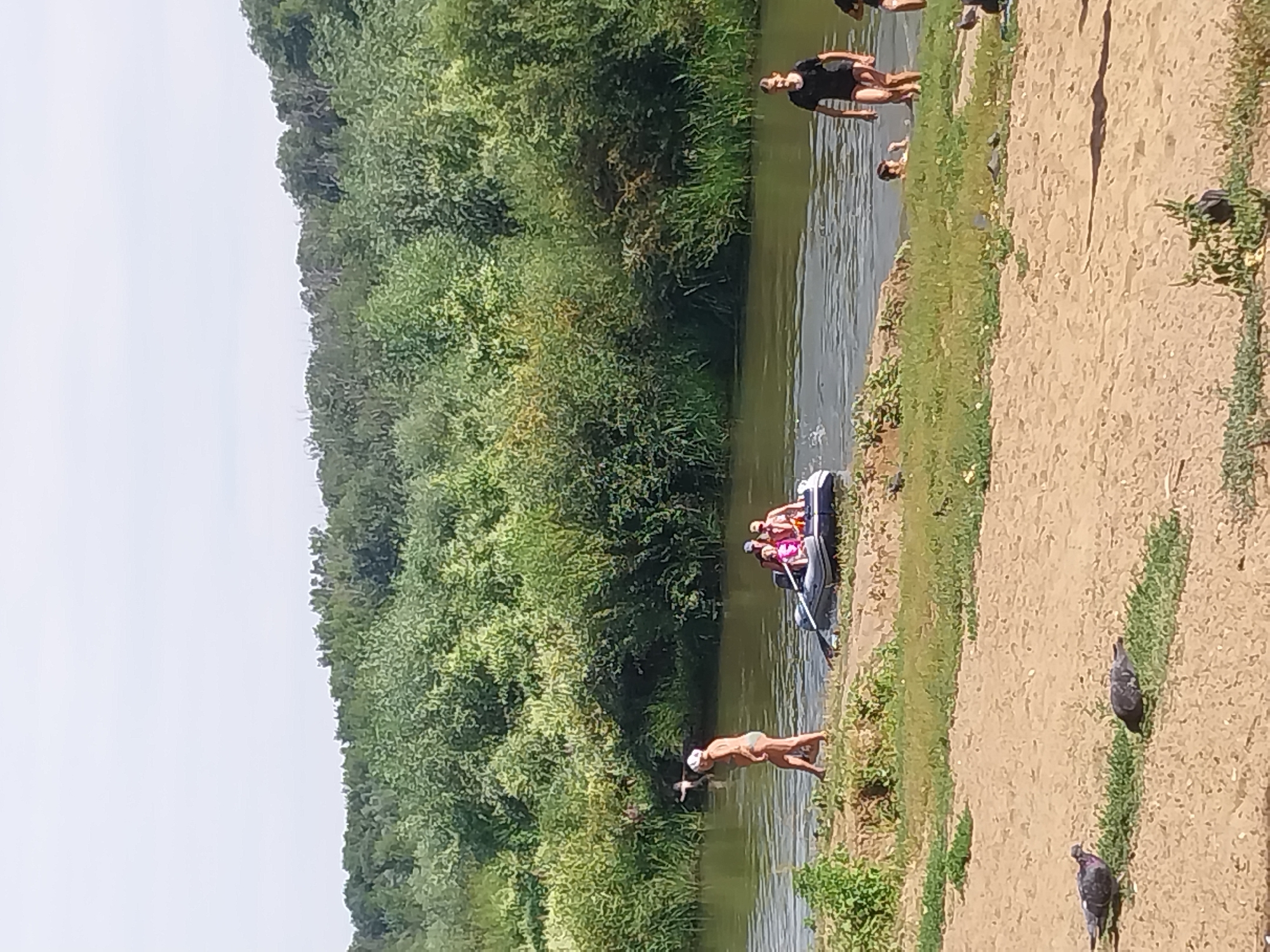 A group of people are enjoying a summer day by a river. In the foreground, two pigeons are foraging on a sandy bank. In the middle ground, a woman in a swimsuit and a white head covering walks along the river's edge. Further out on the water, an inflatable boat carries four people, including children, and a person is rowing it. To the right, a young person in a black t-shirt and shorts stands in the shallow water. The river is bordered by lush green trees and vegetation. The sky is clear and bright. The scene appears to be a recreational area, possibly a beach or park, with the natural environment suggesting an outdoor leisure activity. The presence of a river and dense foliage indicates a natural landscape that could be found in or around Orenburg, Russia, known for its natural beauty and outdoor recreational opportunities.