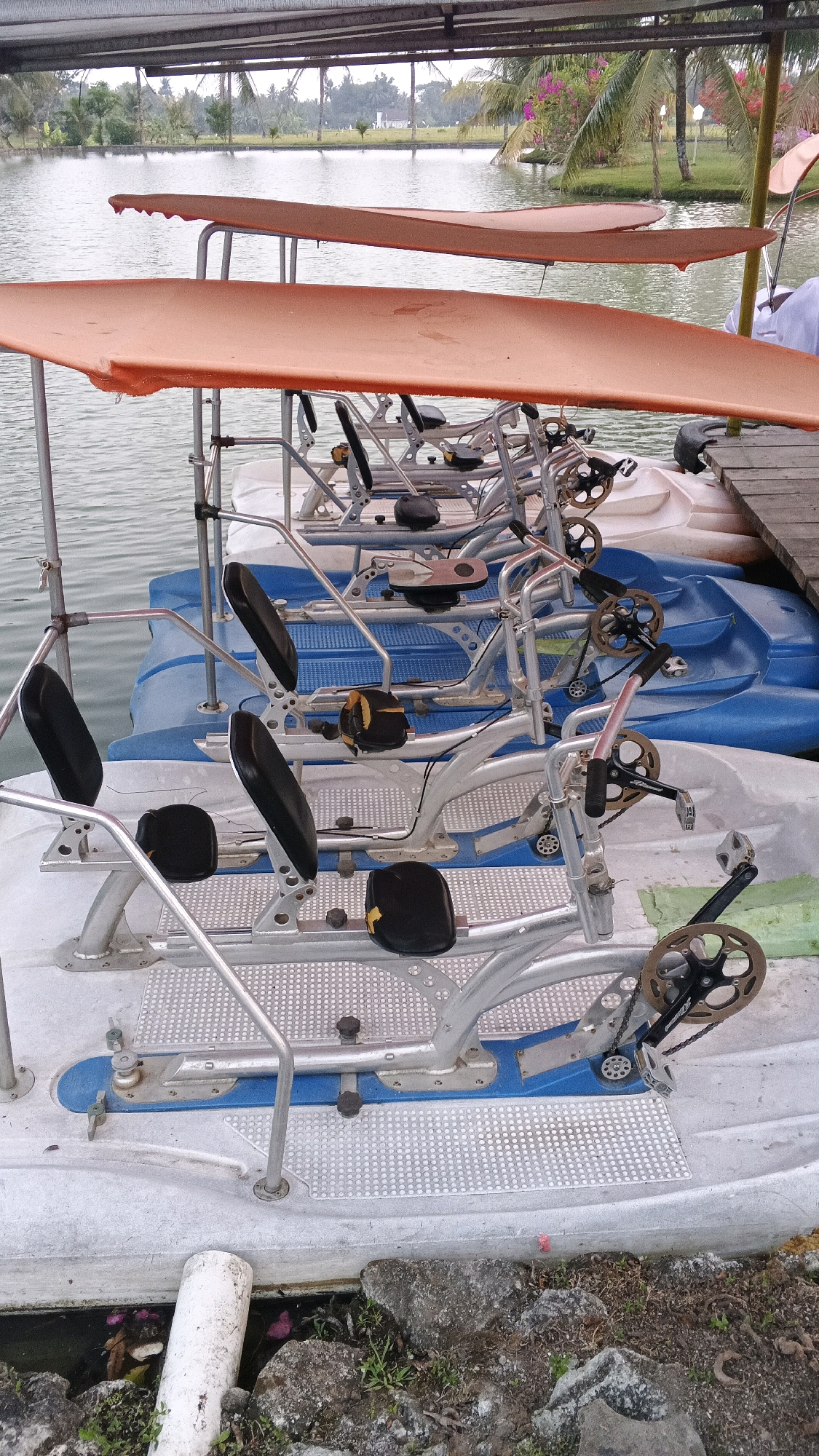 The image shows a row of pedal boats docked at a waterfront in Minggir, Indonesia. The boats are designed like bicycles with seats and pedals, and each has an orange canopy for shade. The water is calm, and a lush green background with palm trees and pink flowers suggests a tropical environment. The boats appear to be unoccupied and ready for rental. The scene is a typical recreational area, likely a tourist attraction or a local spot for leisure activities.