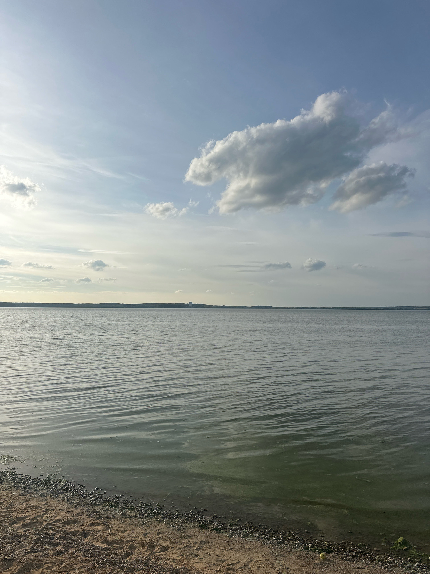 The image depicts a serene lake scene with a sandy and pebbly shore in the foreground. The water is calm with gentle ripples, reflecting the overcast sky. In the distance, a treeline forms the horizon, beyond which a few buildings are faintly visible. The sky is a soft blue with scattered white clouds, some larger and more defined, others wispy. The overall impression is one of natural tranquility, possibly a view from the shore of Lake Zhdanovichskoye, located within the Zhdanovichi rural council area of Belarus.