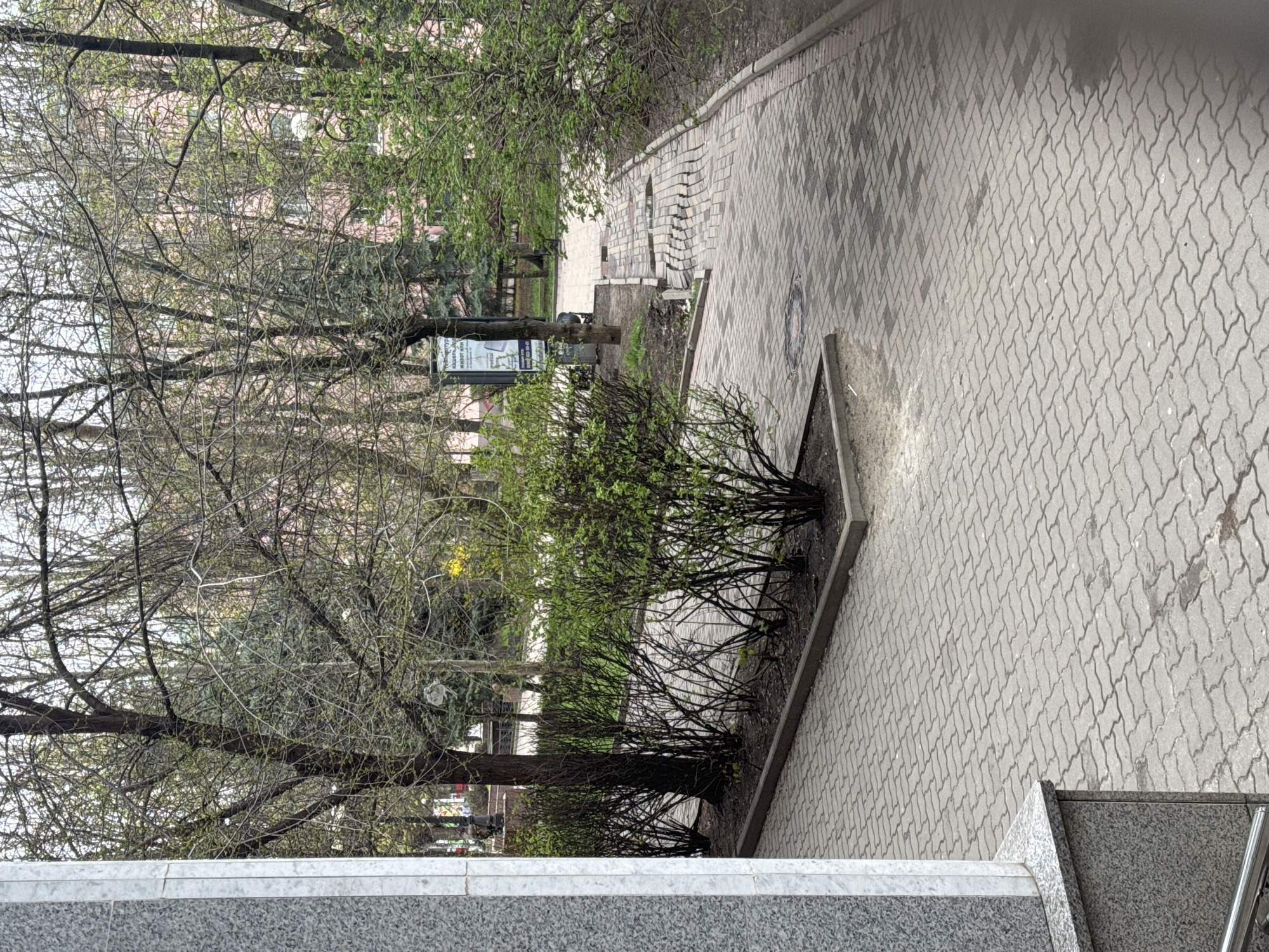 This is an outdoor scene in what appears to be a park or green space in Azov, Russia, defined by a paved walkway made of interlocking concrete pavers. The walkway leads away from the viewer into the distance, flanked by trees and bushes. Some of the trees are still bare, while others are showing new leaves, suggesting it is early spring. There is a sign in the middle distance, with some visible text but not clear enough to read. In the far distance, there are buildings and additional greenery. The foreground includes what appears to be the edge of a building or structure with a grey marble or stone finish. There are no people visible in the image.