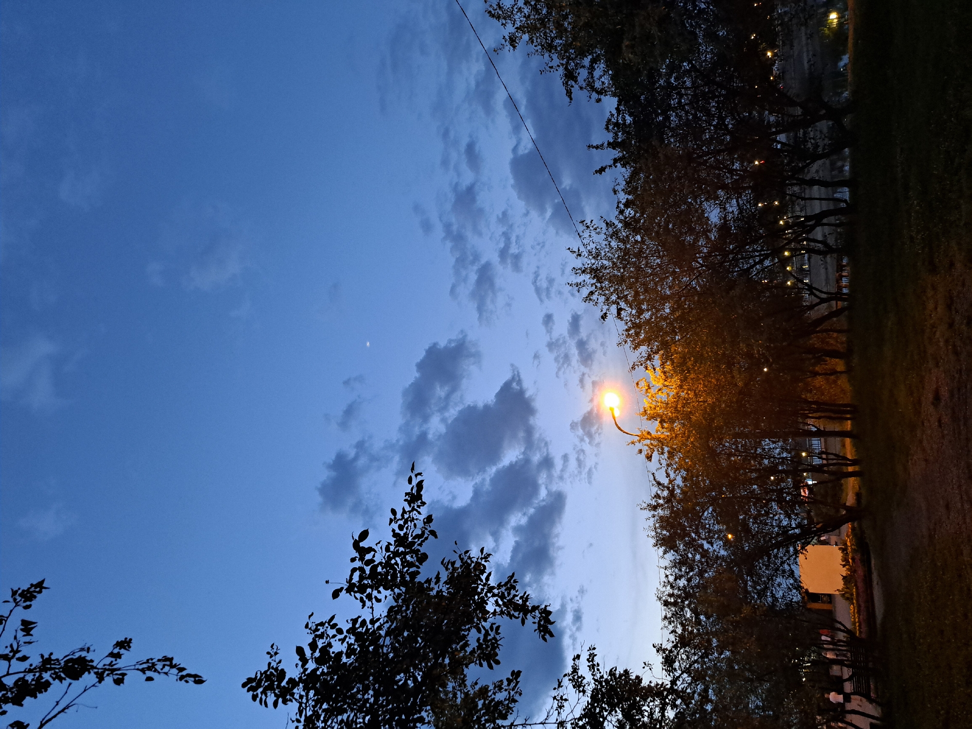 The image depicts a park-like setting in Irkutsk, Russia, during twilight. The sky is a deep blue with scattered grey clouds and a sliver of a crescent moon visible. Silhouetted trees frame the scene, with the leaves of a tree in the upper left corner dark against the sky. A single streetlamp illuminates the pathway and surrounding trees with a warm, orange glow. In the mid-ground, several people are visible walking, some with their backs to the camera. A small, light-colored building is situated behind the trees. The ground is covered in grass and a dirt path. A power line stretches across the sky in the upper right portion of the image. The overall impression is one of a quiet evening in a public outdoor space.