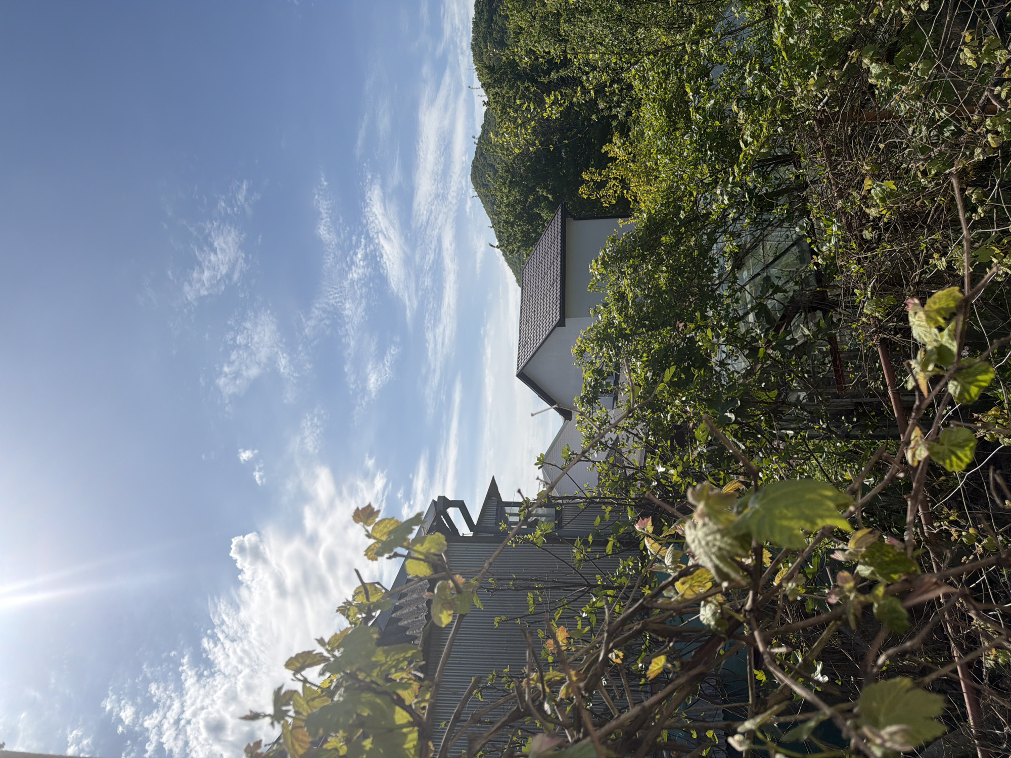 The image shows a view in Agoy, Russia, looking up at a partially obscured house and adjacent building through foliage. The house has a dark red tiled roof, and its white walls are partially visible behind trees. To the left, a building with corrugated metal siding and a complex roofline is also partially hidden by leafy branches. The sky is blue with scattered wispy clouds. Vegetation dominates the foreground and right side of the frame. The sun is visible in the lower left.