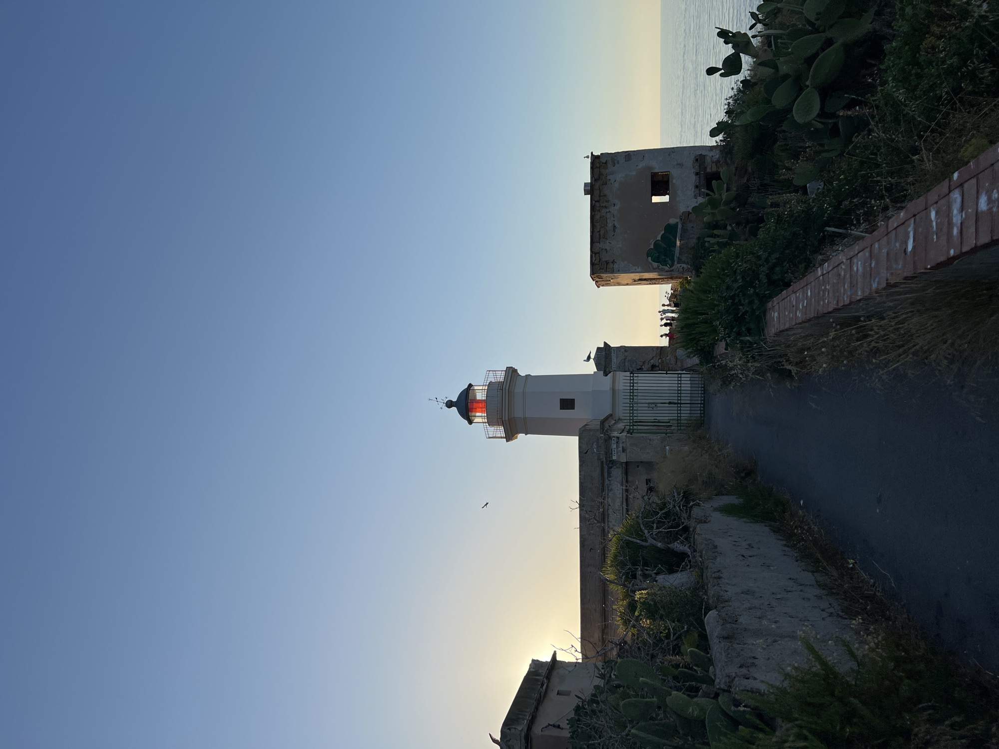 A white lighthouse with a red lamp stands tall against a clear, pale blue sky. The lighthouse is situated on a coastal cliff overlooking a calm body of water. Adjacent to the lighthouse are weathered, stone buildings and a metal gate. The surrounding landscape is characterized by rugged terrain with sparse vegetation, including prickly pear cacti. The scene appears to be captured during either sunrise or sunset, with the sun's rays casting a warm glow on the horizon. The presence of a pathway leading towards the lighthouse suggests it is accessible. The overall atmosphere is serene and picturesque, evoking a sense of solitude and natural beauty.