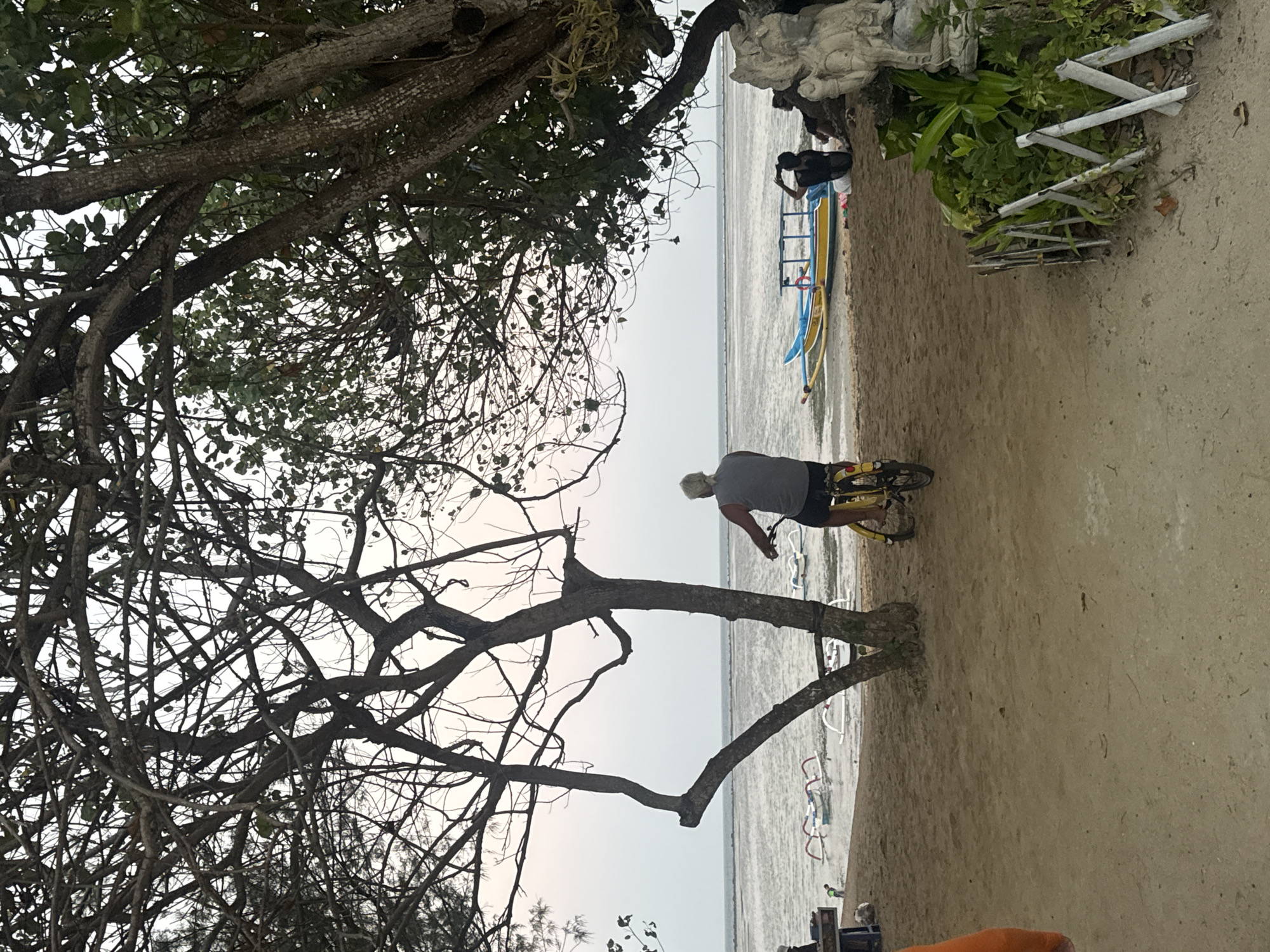 The image depicts a beach scene in Denpasar, Indonesia, likely during the late afternoon or early evening. In the foreground, a person with gray hair is riding a yellow bicycle facing away from the viewer, towards the ocean. The individual is wearing a gray tank top and dark shorts. The beach is sandy, with some vegetation and a decorative fence visible on the right.
In the middle ground, the ocean is calm, with several traditional Balinese boats, known as "jukung," beached or partially in the water. A blue and yellow boat is also visible. A few people are seated on the sand near the boats, one of whom is looking at their phone.
The background consists of the ocean extending to the horizon, with a faint outline of land or clouds. The sky is overcast, with a soft, diffused light. The scene is framed by the branches of trees, which are sparse and bare in some areas, suggesting a dry season or a specific type of tree. The overall atmosphere is serene and tranquil.