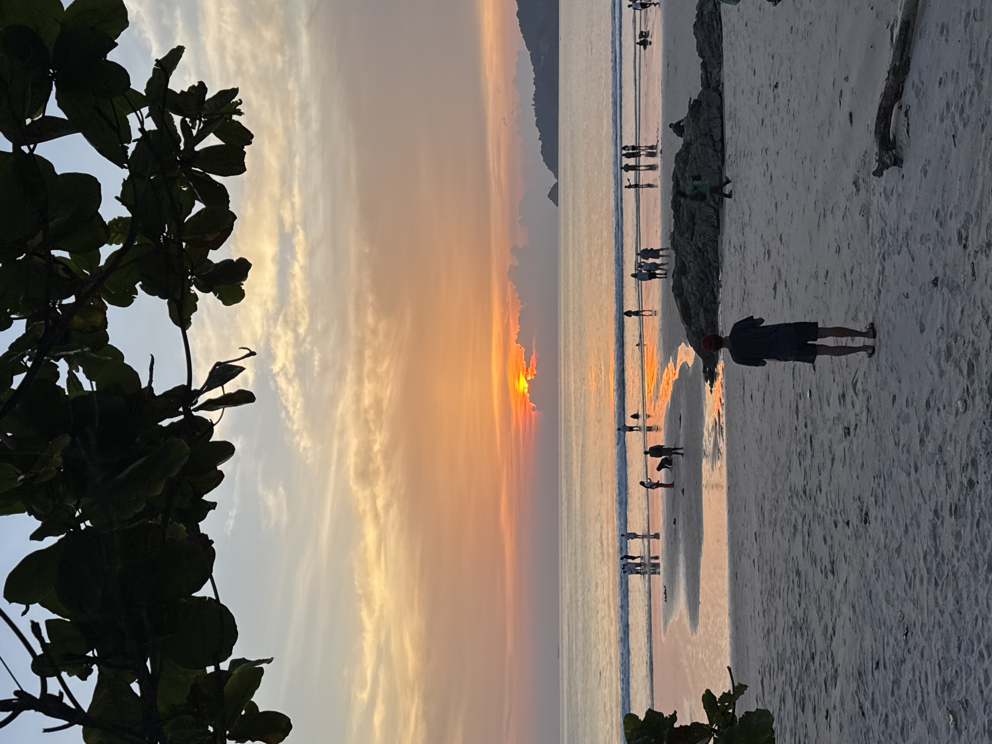 This is a photograph of Patong Beach, Thailand, taken at sunset. The sky is a vibrant canvas of orange, pink, and blue hues, with scattered clouds. The sun is low on the horizon, partially obscured by clouds, casting a warm glow across the scene. The ocean is calm, with gentle waves lapping at the shore. The beach is sandy, with a few rocks and a piece of driftwood visible in the foreground. Several people are scattered across the beach and in the shallow water, some walking, some standing, and some appearing to be interacting. In the middle ground, a group of people are gathered near the water's edge. A lone figure wearing a red hat and dark clothing stands facing the sunset on the sand in the foreground. The image is framed by dark green leaves and branches in the upper left and upper right corners, suggesting that the photograph was taken from beneath a tree.