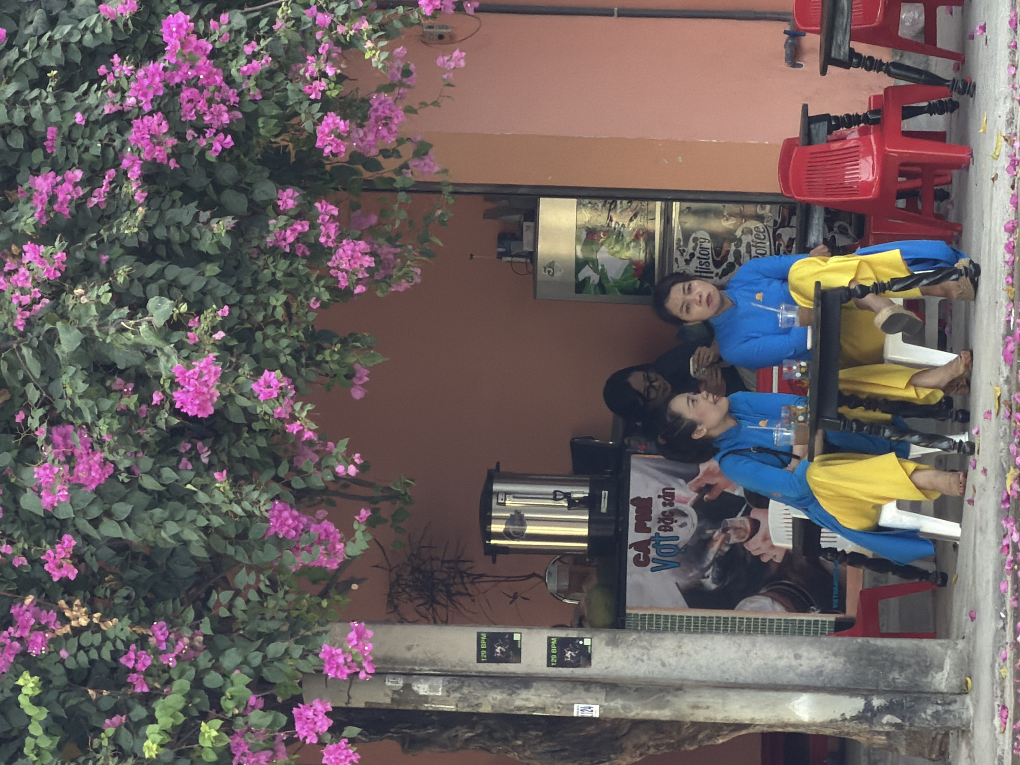 This image depicts a street scene in Nha Trang, Vietnam, under a vibrant canopy of pink bougainvillea flowers. Two young women, dressed in traditional áo dài with bright yellow trousers, are seated at a black, ornate table, engaged in conversation. A third woman, wearing glasses and a dark top, is seated behind them, looking at her phone. In the background, a large stainless steel hot water dispenser and a refrigerator unit are visible, suggesting a small cafe or food stall. Scattered pink petals on the ground indicate the bougainvillea flowers have bloomed and are falling. The overall setting appears to be a casual outdoor seating area on a street in Vietnam.