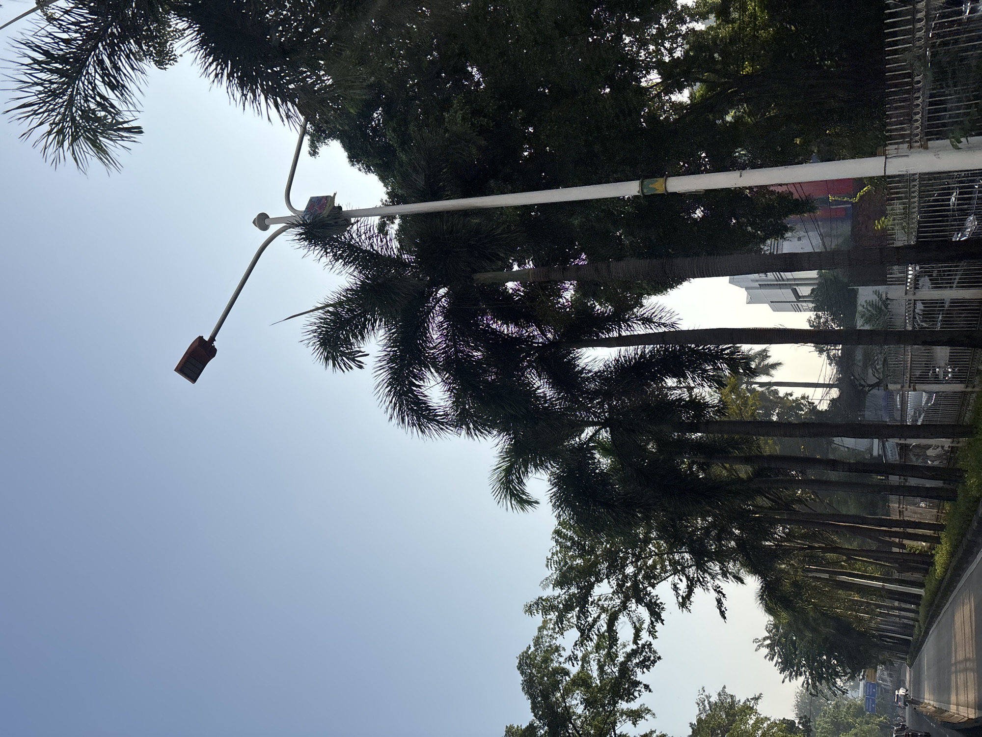 This image depicts a street scene in West Jakarta, Indonesia, characterized by a clear blue sky and a row of palm trees lining the road. A white lamppost with a red lamp fixture stands prominently in the foreground, with one of its arms extending towards the left. The lamppost has a rectangular sticker with an image on it, attached to its central pole. The road, paved with asphalt, appears to be a two-way street with a white lane divider. To the right of the road, a metal fence encloses a property with lush green trees behind it. In the background, a modern, multi-story building with a white facade and red accents can be seen. There are no people or vehicles clearly visible in the immediate foreground, but further down the road, a few vehicles are present, suggesting traffic. The overall scene conveys a sense of an urban environment with ample greenery.