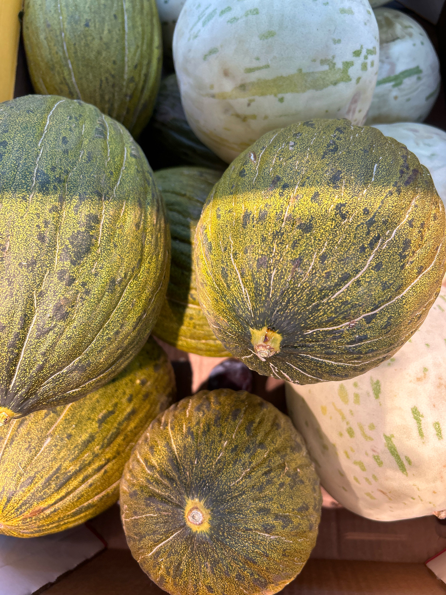 The image displays a close-up, overhead view of a pile of ripe melons, likely for sale at a market. The melons are predominantly a golden-green color with distinct dark green speckles and prominent white or light yellow lengthwise ridges. Some of the melons are partially obscured, but the visible ones are rounded and have a textured rind. In the background, there are a few paler, possibly white or very light green melons with faint green markings. The lighting suggests an outdoor or well-lit indoor environment, casting shadows and highlighting the melons' textures. There is no indication of the city of Tomsk, Russia, or any specific location within it. The scene is devoid of people, actions, or interactions.