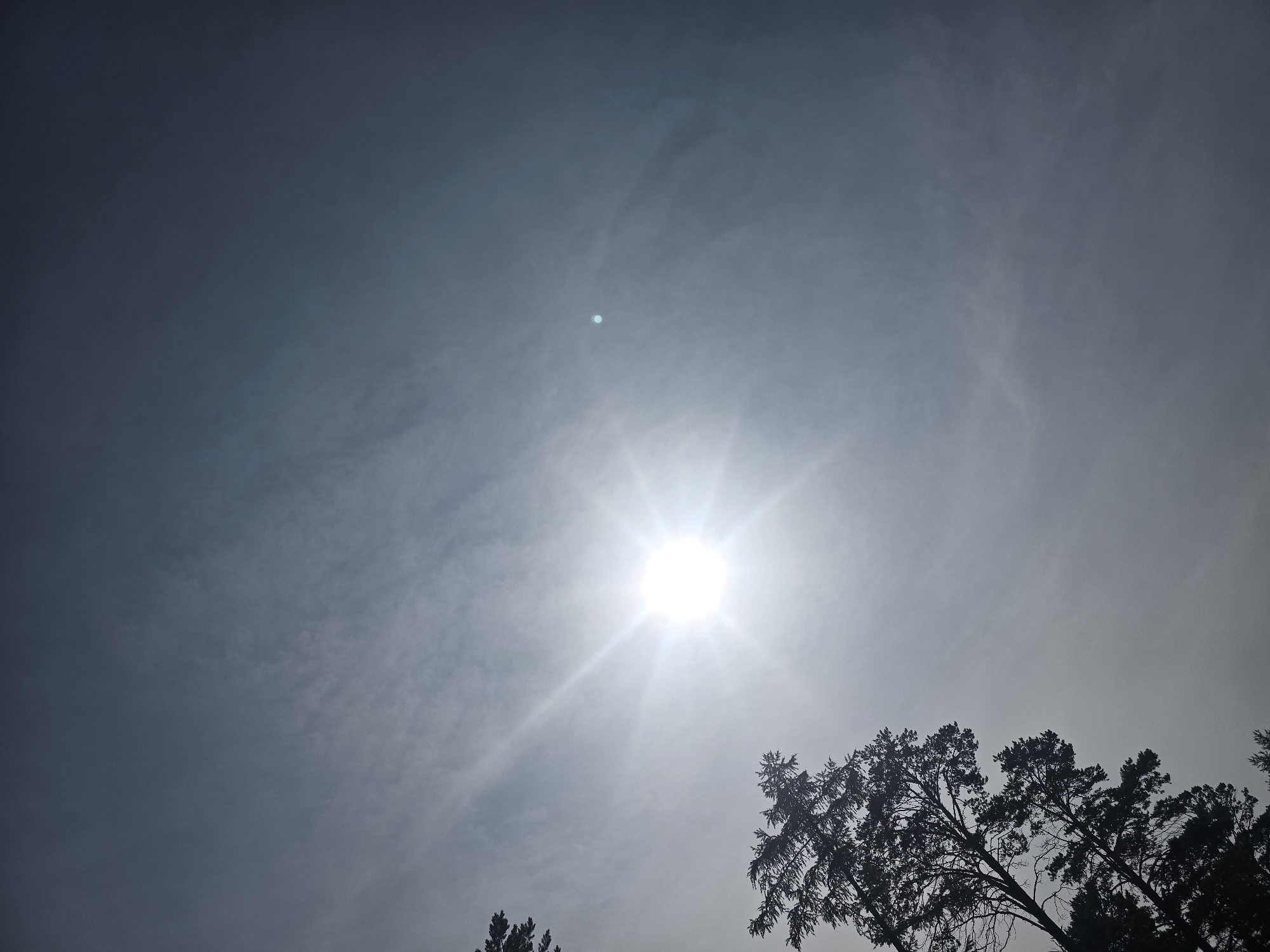 The image depicts a silhouetted view of trees against a bright, hazy sky. The sun is prominently featured, appearing as a bright, star-like orb with visible rays, suggesting it is partially obscured by atmospheric conditions. Wispy clouds are visible, adding texture to the sky. A small, distinct light artifact, possibly a lens flare or reflection, is present in the upper right portion of the frame. The trees in the foreground are dark silhouettes, with their branches and foliage clearly defined against the lighter sky. The perspective is looking upwards, emphasizing the expanse of the sky and the tops of the trees. The scene appears to be outdoors, possibly in a forested area or park. The location is Maksimiha, Russia.