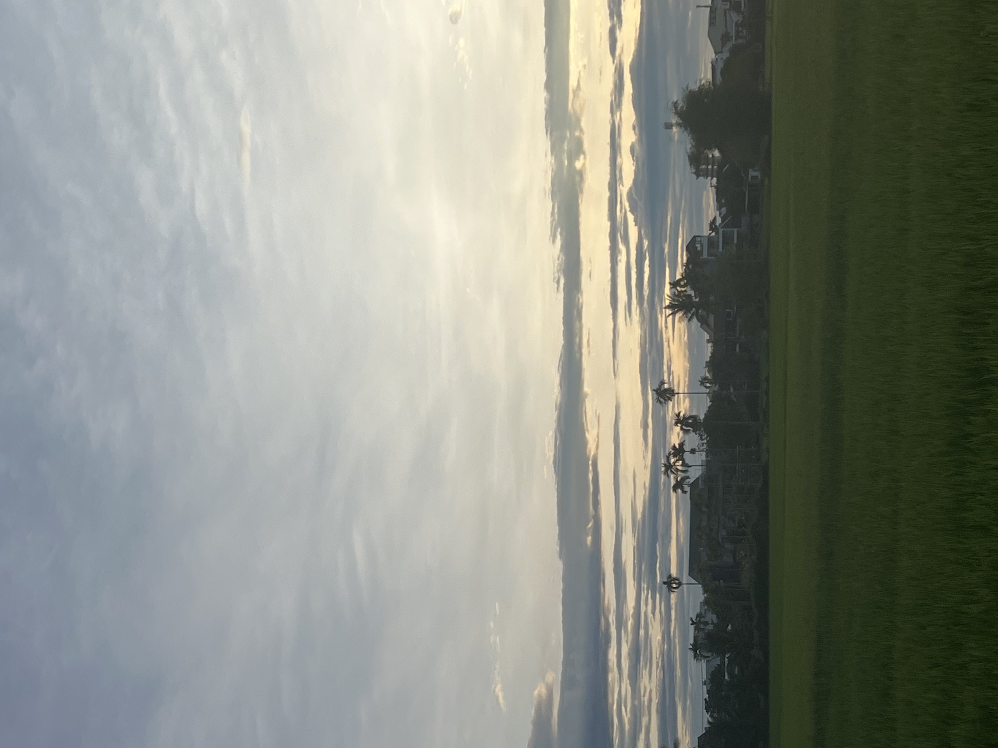 This vertical, full-frame photograph captures a serene rural landscape in Hoi An, Vietnam, during what appears to be late afternoon or early evening. The scene is dominated by a vast expanse of lush, green rice paddies in the foreground, stretching towards a line of trees and buildings in the mid-ground. Several palm trees are interspersed among the foliage, their fronds silhouetted against the sky. Behind the trees, a cluster of buildings, including what looks like a multi-story dwelling with a dark, tiled roof and other residential structures, are visible. The horizon line is low, emphasizing the expansive sky above. The sky itself is a dramatic canvas of layered clouds. Closer to the horizon, the clouds are tinged with the warm hues of sunset, transitioning to cooler blues and grays as they ascend towards the top of the frame. Wispy cirrus clouds are scattered across the upper sky, suggesting a calm atmospheric condition. There are no people or animals visible in the frame, creating a sense of quiet solitude. The overall impression is one of natural beauty and rural tranquility.