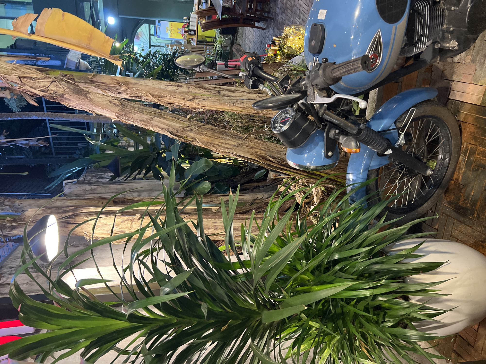 The image depicts an outdoor scene in Nha Trang, Vietnam, featuring a blue motorcycle parked amidst tropical vegetation and decorative elements. The motorcycle is the primary subject, positioned prominently with its front wheel and handlebars in view. A large potted plant with long, green, pointed leaves dominates the foreground. A rough-textured tree trunk stands nearby, adorned with a drooping, yellowish banana leaf. A warm light source illuminates the scene. In the background, a restaurant or café area is discernible, with tables, chairs, and ambient lighting.