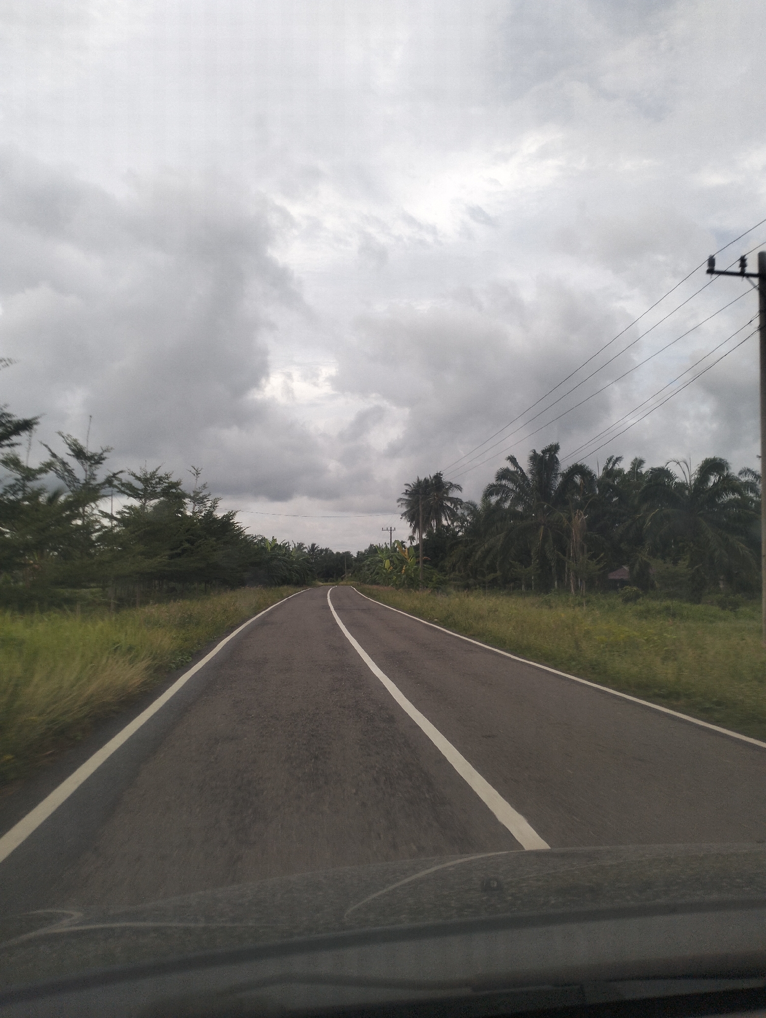 The image depicts a road curving to the right, flanked by vegetation and trees, under a cloudy sky. The road surface is asphalt, marked with a solid white line on the left and a broken white line on the right, indicating it is a two-way road. On the left side of the road, there is a stretch of tall grass and then a line of evergreen trees. On the right side, there are palm trees and other tropical foliage. Utility poles with power lines are visible in the distance on the right. The overall scene suggests a rural or semi-rural setting in Teupinreusep, Indonesia. The perspective is from a vehicle, as evidenced by the lower part of the windshield or hood in the foreground, covered in a fine layer of dust. No people or any specific actions are visible in the image. The weather appears overcast.