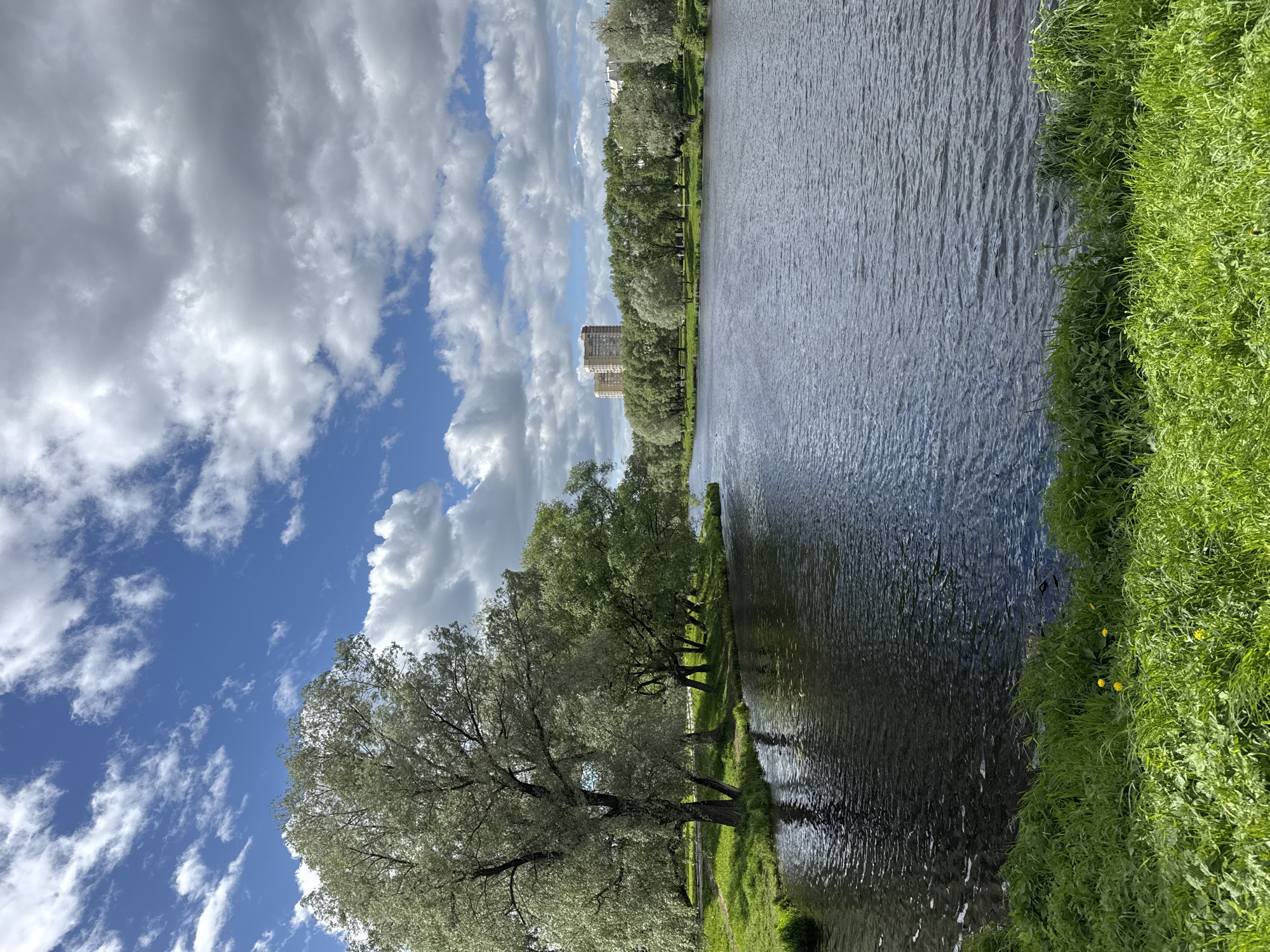 The image depicts a waterfront scene in Saint Petersburg, Russia. A body of water, possibly a canal or river, dominates the right side of the frame. Lush green grass grows along the water's edge. Trees line the bank opposite the grassy edge, with a tall building visible amongst the trees in the background. A line of trees is also visible on the left side of the frame, closer to the foreground, next to some more grassy land. The sky is mostly blue with fluffy white clouds. The image is rotated 90 degrees clockwise.