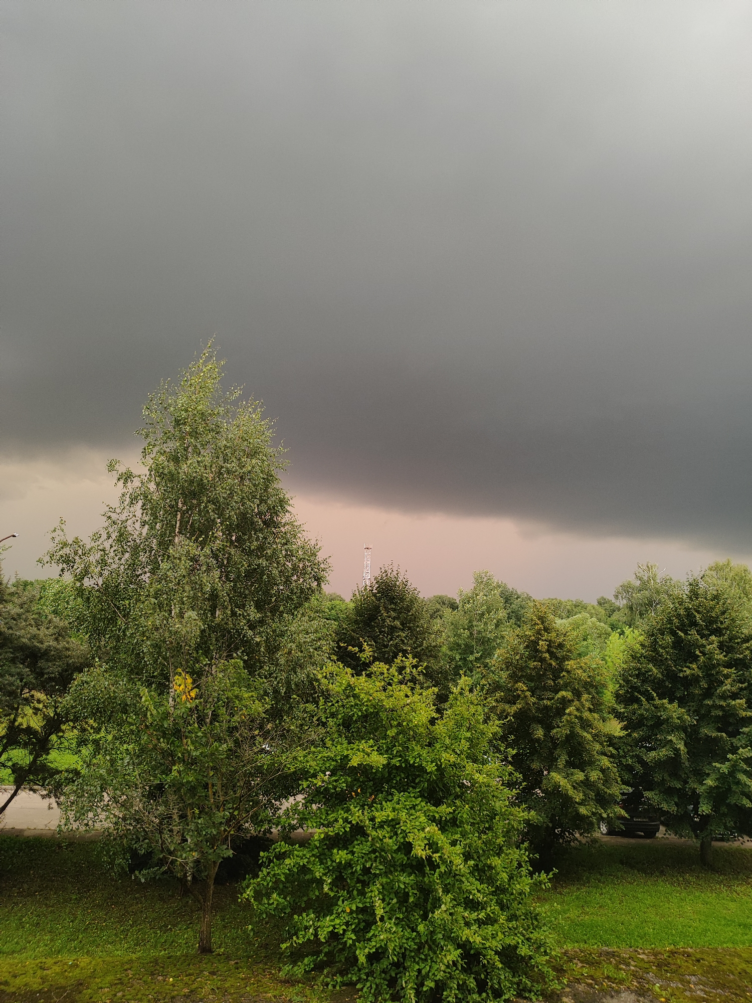 The image captures a view of a tree-lined area under a dark, stormy sky. The foreground features lush green trees and grass. In the background, a faint industrial structure is visible through the overcast sky. The overall impression is of an impending storm in an outdoor urban setting, possibly in Bronnitsy, Russia, given the context. There are no people or animals visible in the image. The scene is still and appears to be a snapshot of natural weather phenomena.