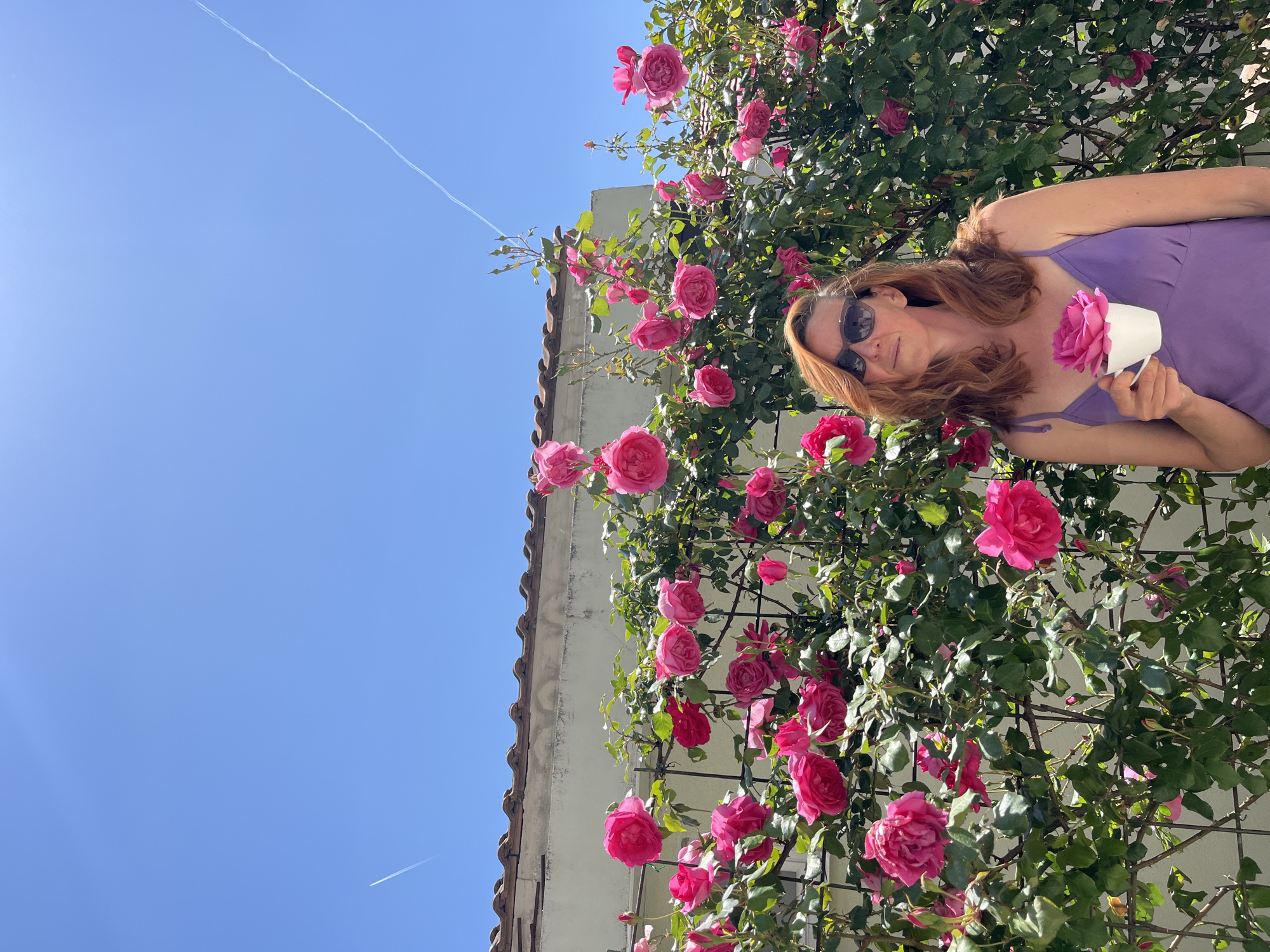 A low-angle, daytime shot reveals a woman standing next to a vine of pink roses, set against a pale blue sky and a building. The woman, with reddish-brown hair and sunglasses, is wearing a purple dress. She holds a small, white cup containing a pink rose. The roses are vibrant and in full bloom, covering a trellis against a building. The building's white wall and brown tile roof are visible behind the roses. In the upper left corner, a contrail cuts across the clear sky. Based on the architectural style and the presence of rose vines, the location is identified as the city of Budva, Montenegro.