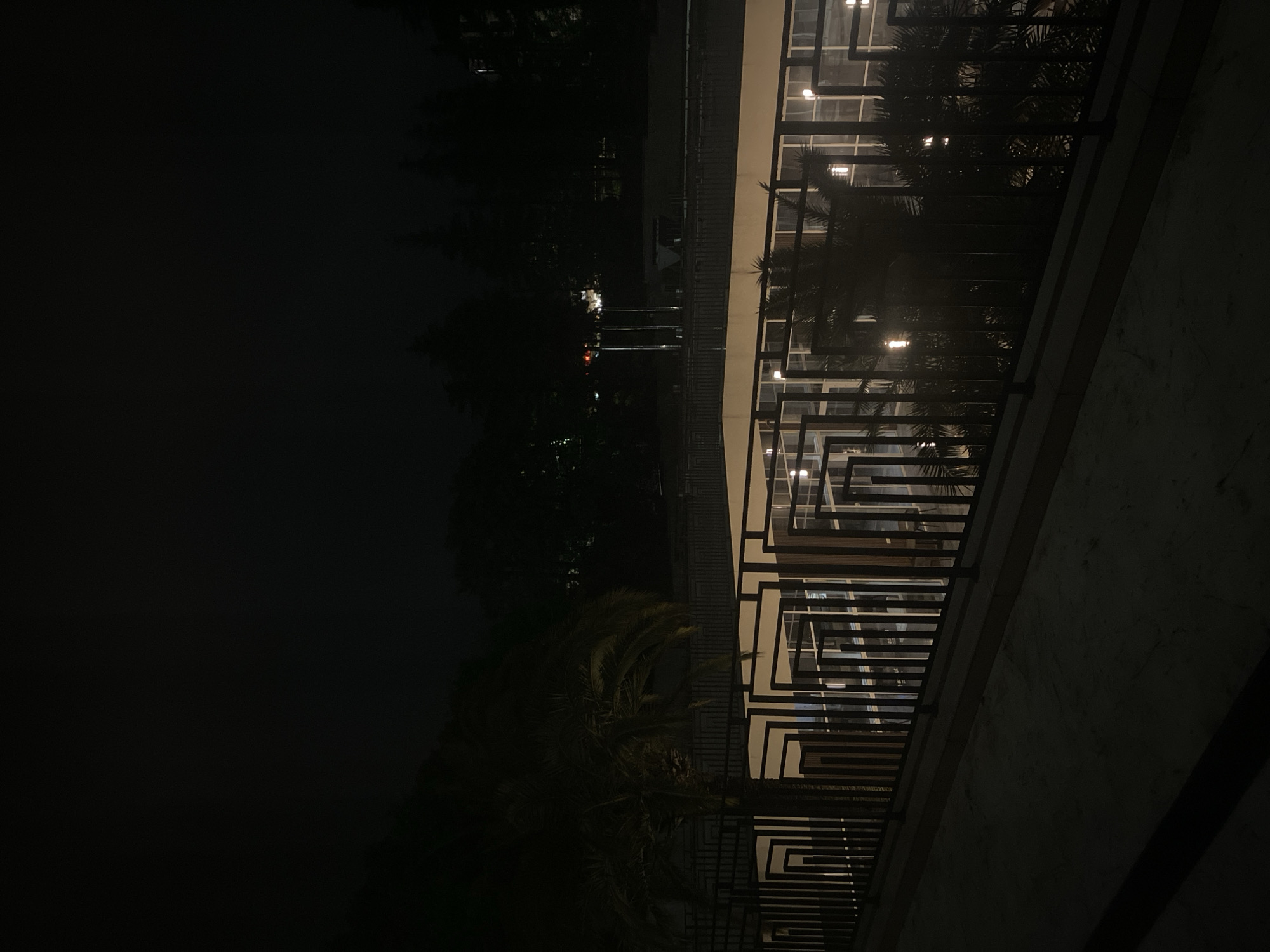 This image depicts a nighttime scene, likely taken from a balcony or elevated position. The right side of the image shows a section of a building with illuminated windows and a decorative metal railing. Palm trees are visible in front of the building, obscuring some of the windows. To the left of the building, the scene is dark with faint lights visible in the distance, possibly indicating other buildings or streetlights. There are silhouettes of trees or other vegetation. The image's orientation appears to be rotated, as vertical elements appear angled. The location is noted as Sochi, Russia, though specific architectural details that definitively confirm this are not readily apparent.