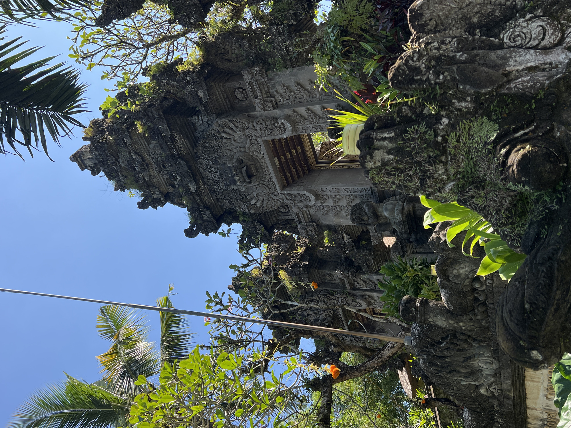 The image captures an upward view of a traditional Balinese structure in Kedewatan, Indonesia. The structure features intricate stone carvings and is partially covered with moss and vegetation, giving it an aged appearance. A small opening or doorway is visible near the top. The surrounding environment includes tropical foliage, such as palm trees and flowering trees, set against a clear blue sky. A utility wire crosses the frame, adding a modern element to the scene.
